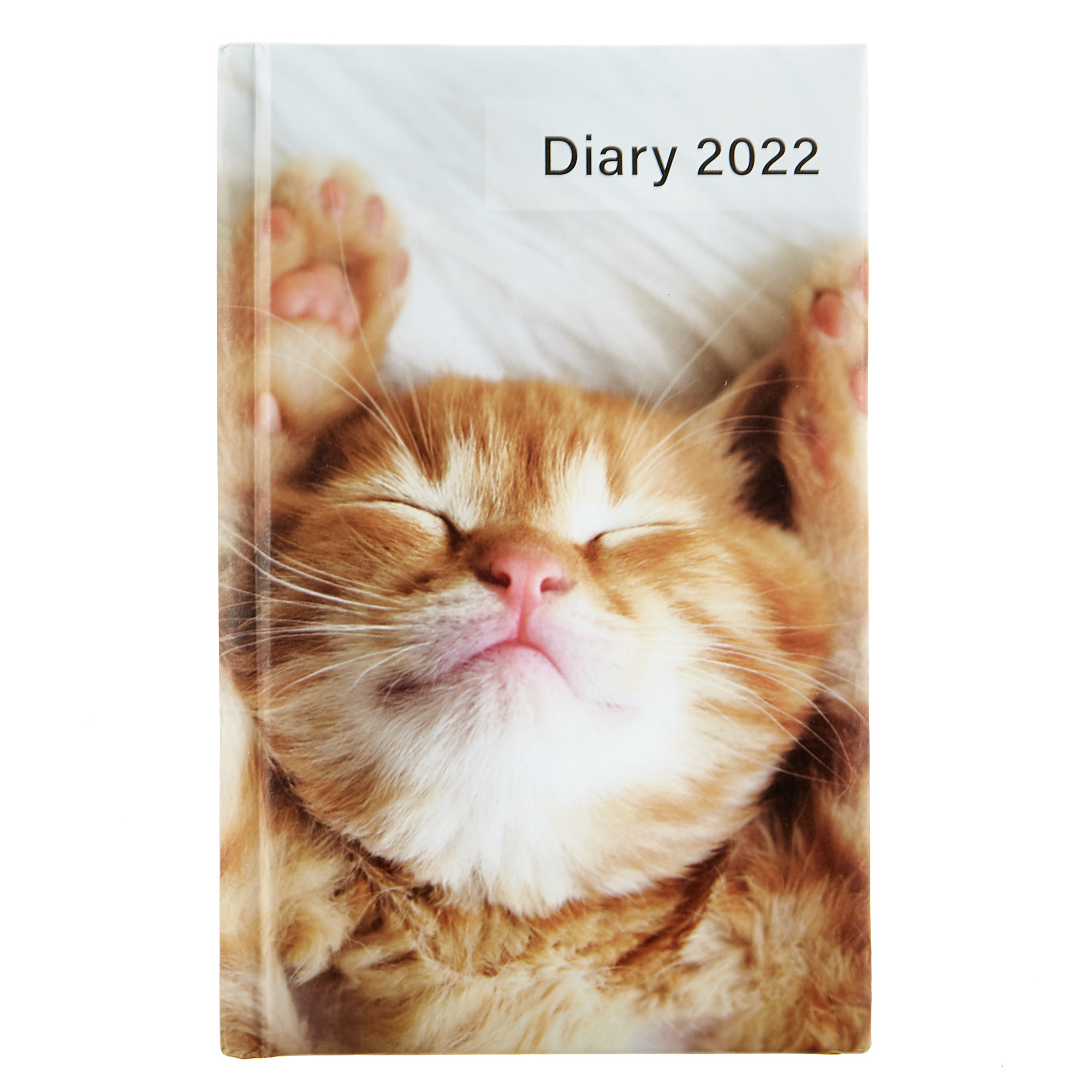 A6 2022 Pocket Diary - Cat