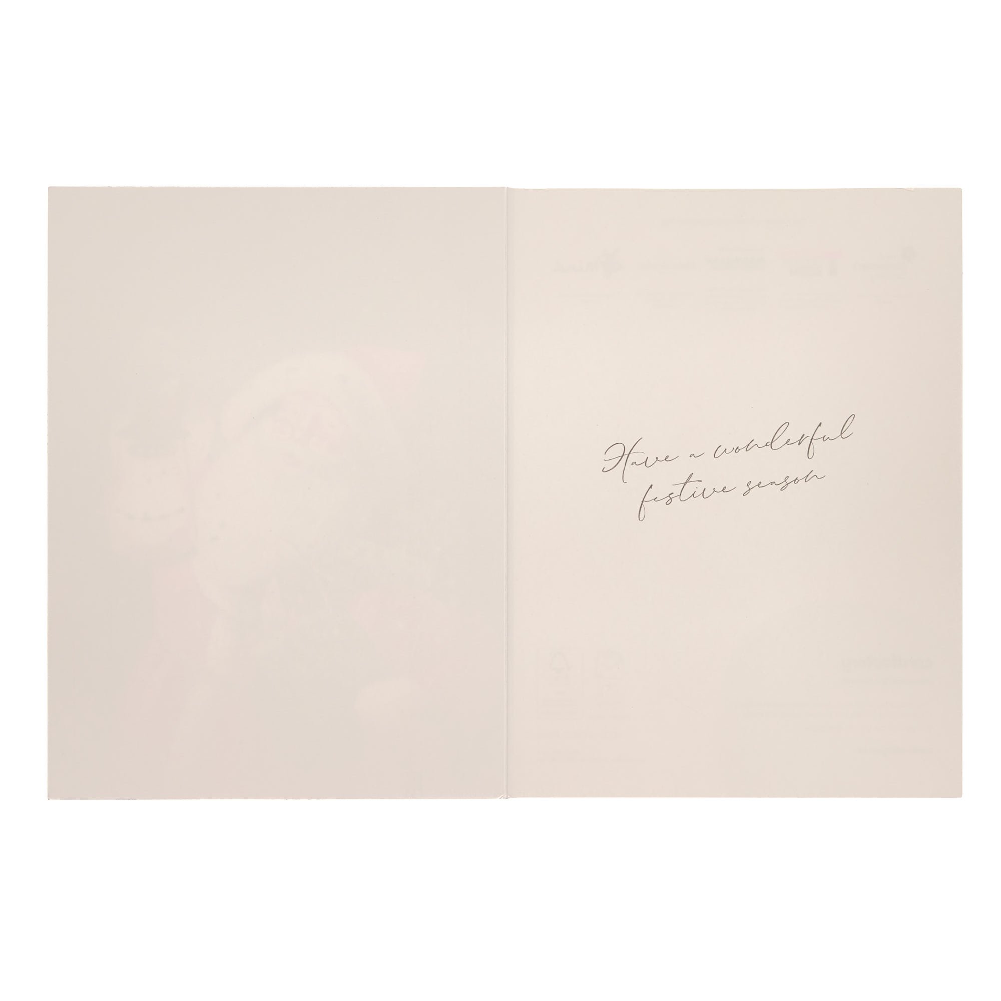 Deluxe Santa Charity Christmas Cards - Pack of 10 (2 Designs)