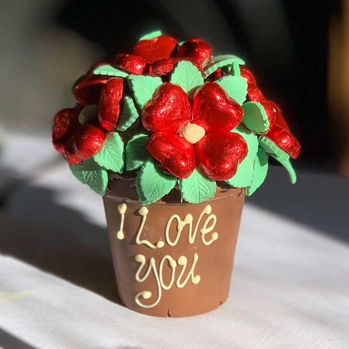 Personalised Smash Flower Pot