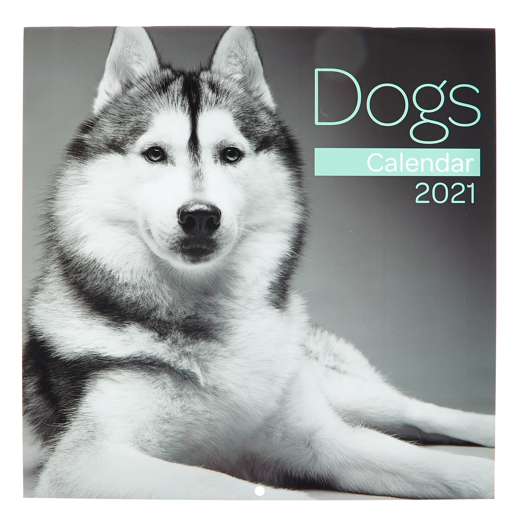Dogs 2021 Calendar