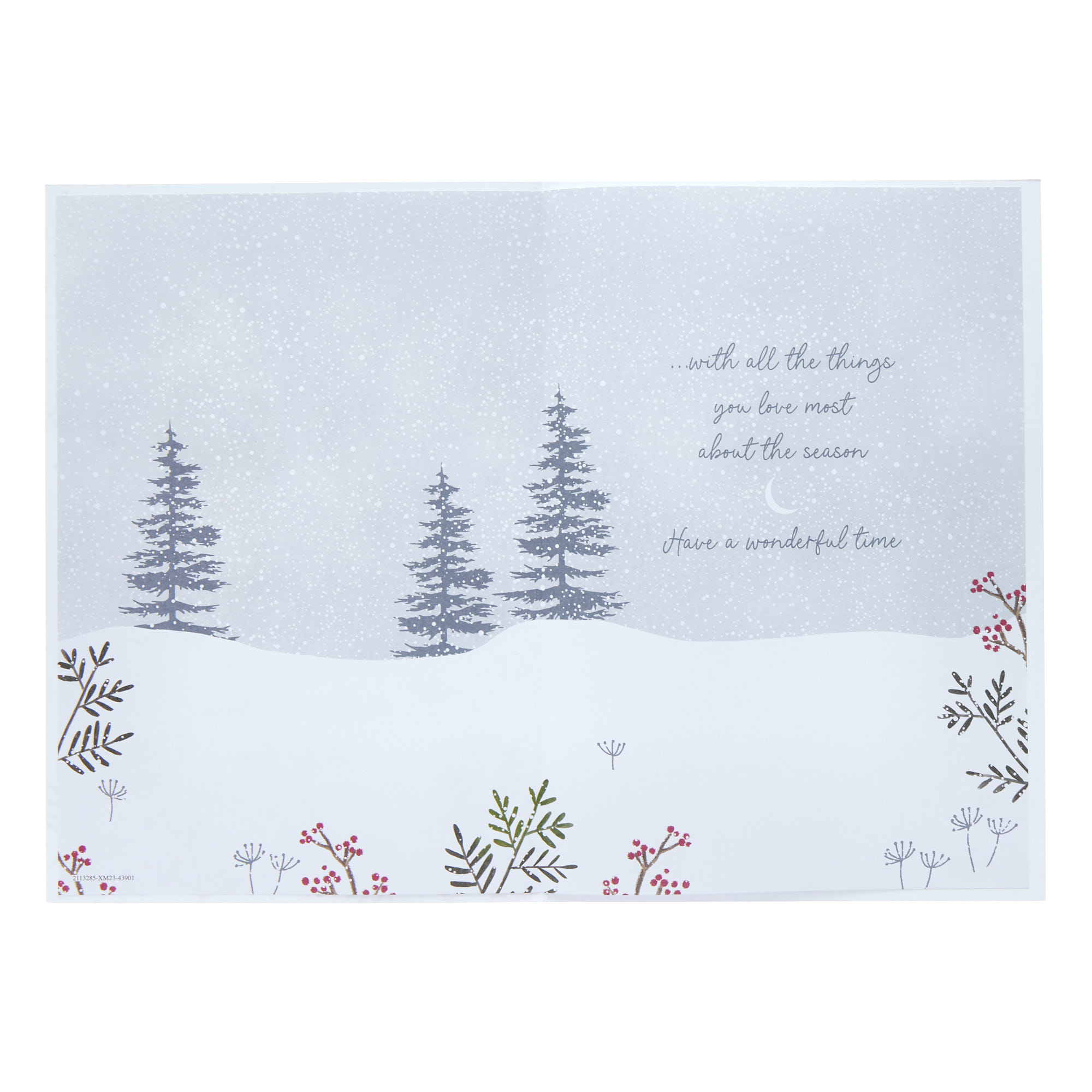 To Both Of You Duck Pond Christmas Card