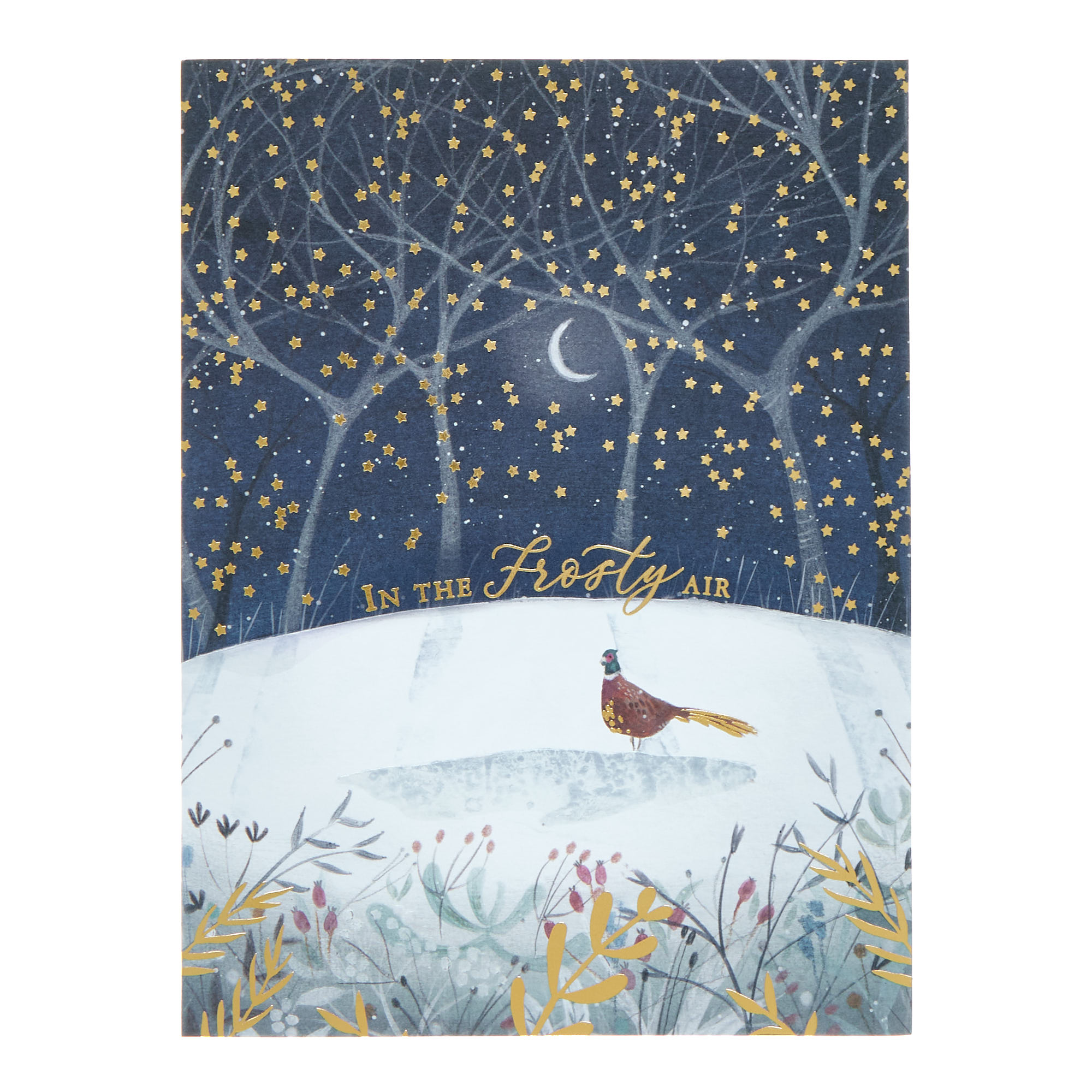 10 Deluxe Boxed Charity Christmas Cards - Winter Birds (2 Designs) 