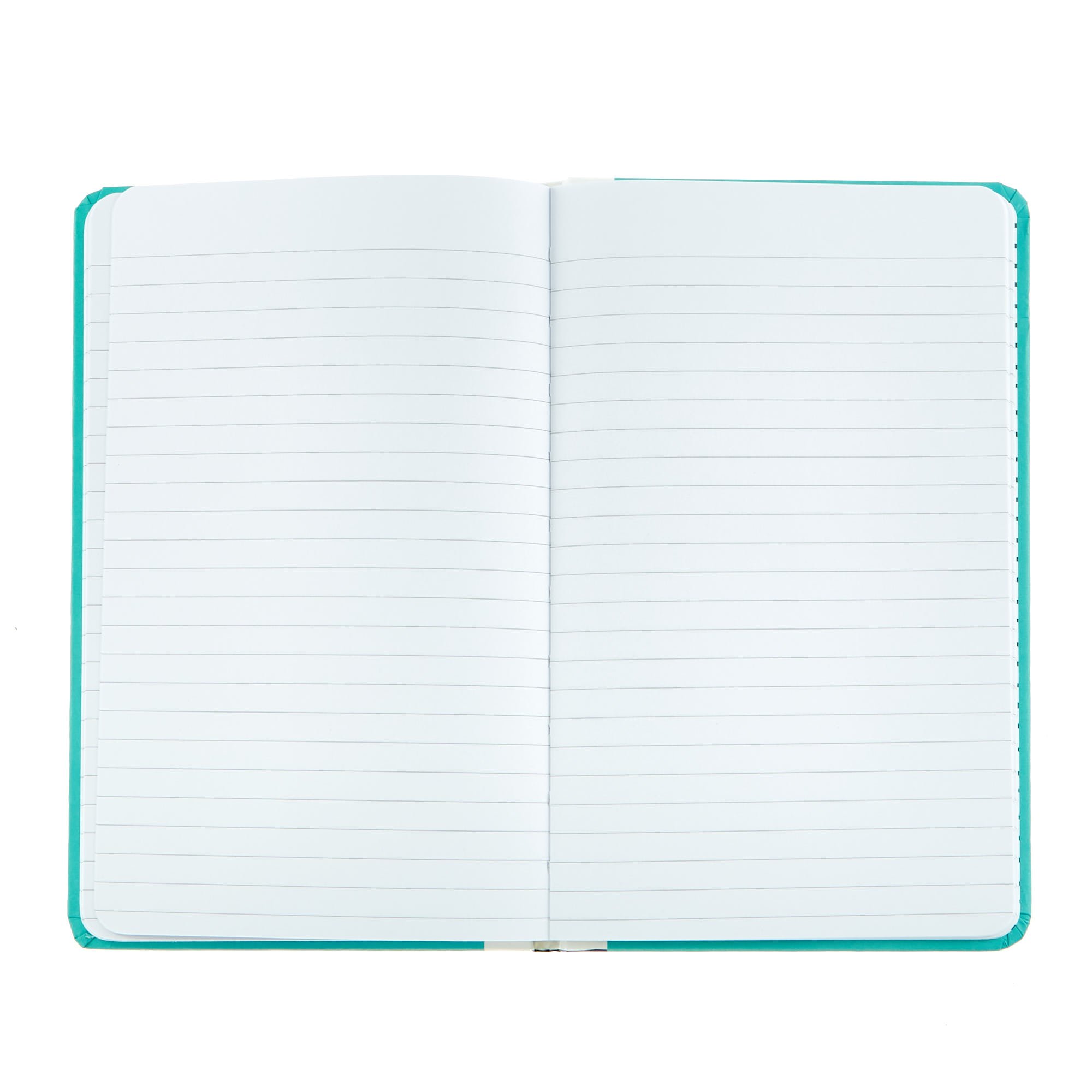 Pukka Planet Soft Cover No Planet B Notebook