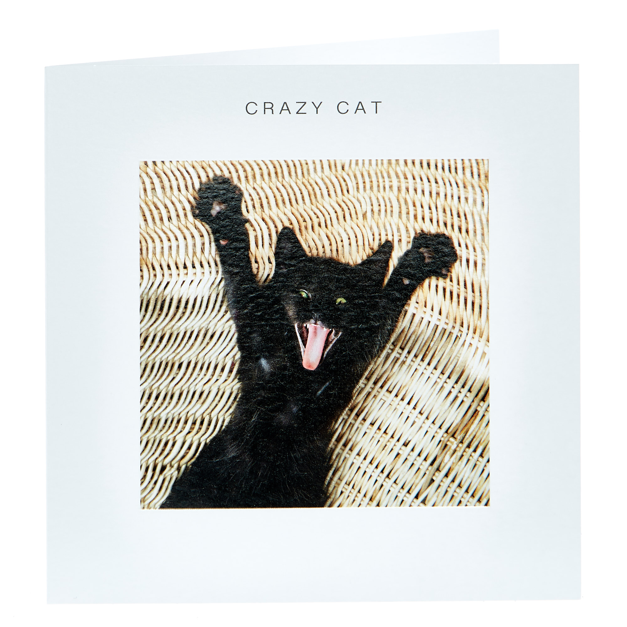 Any Occasion Card - Crazy Cat