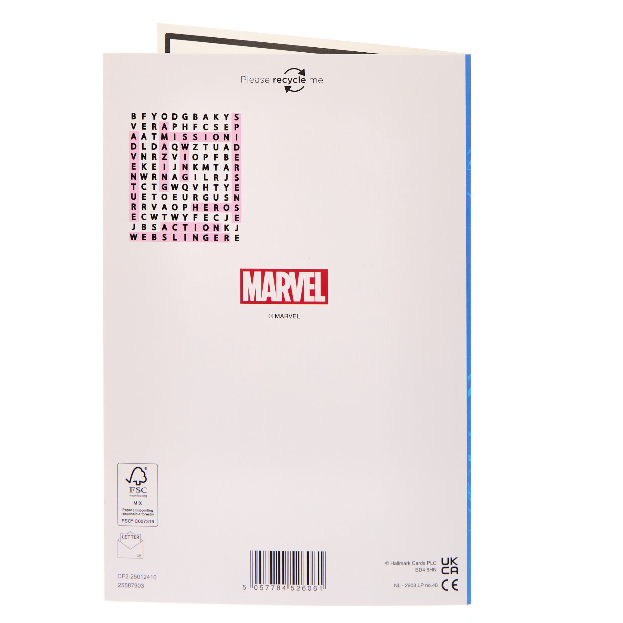 Brother Spider-Man Wordsearch Birthday Card