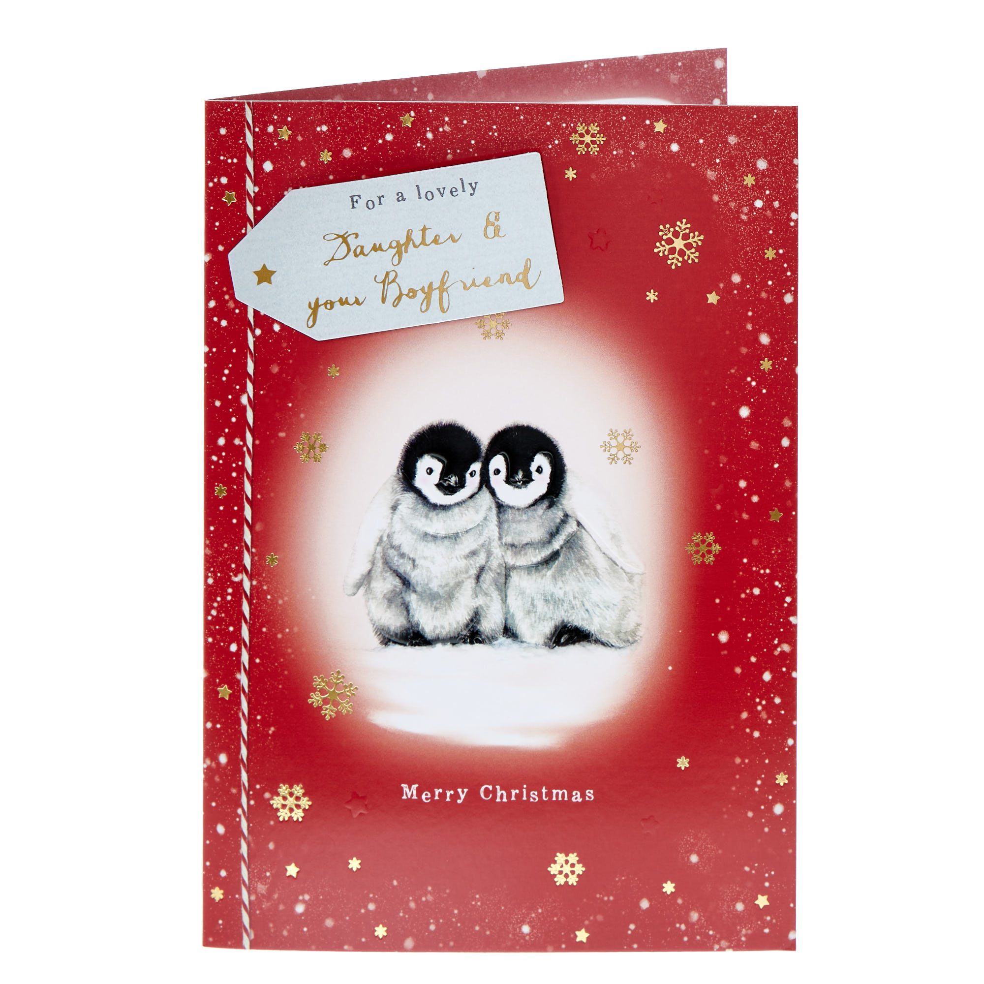Daughter & Boyfriend Penguins Christmas Card