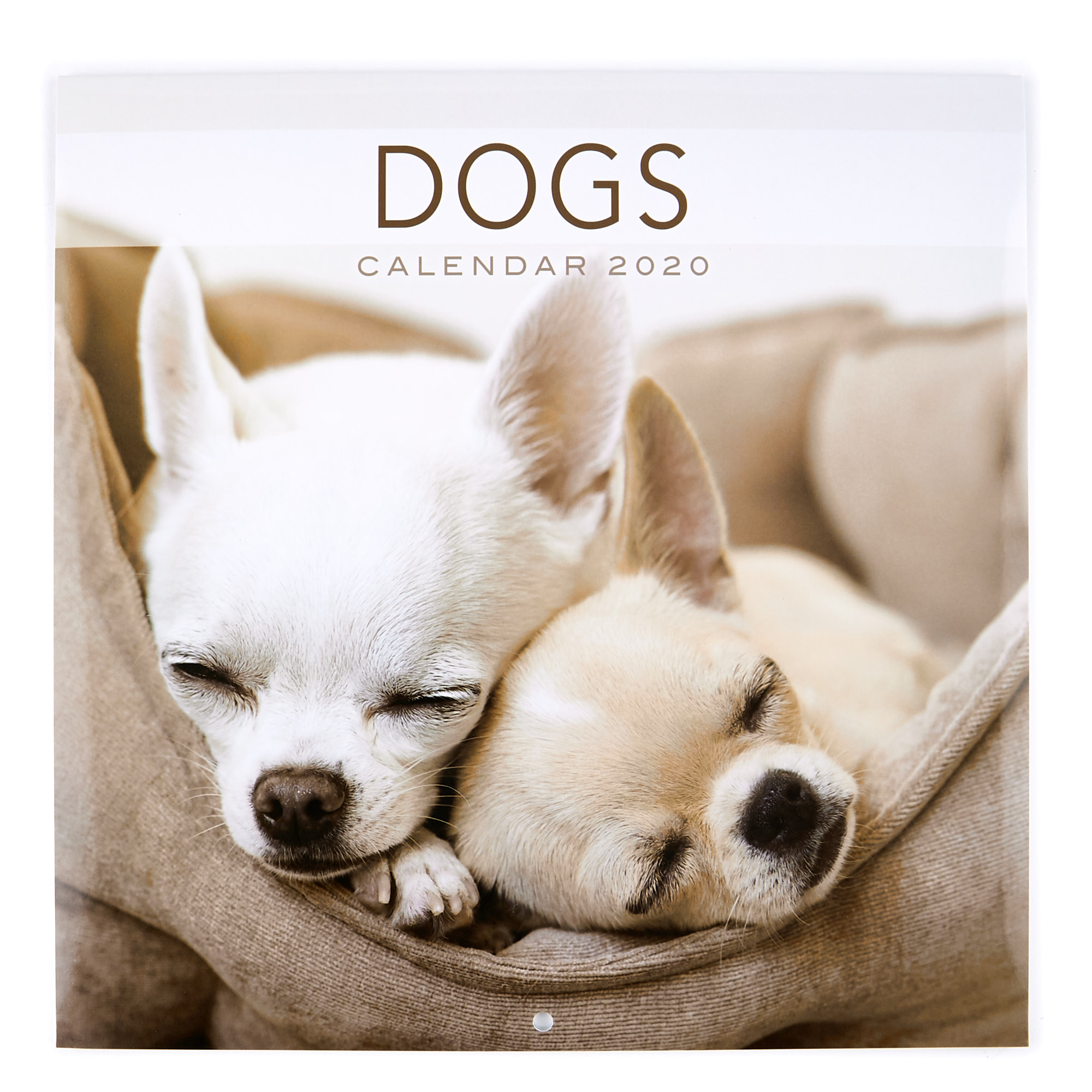 2020 Calendar - Dogs 