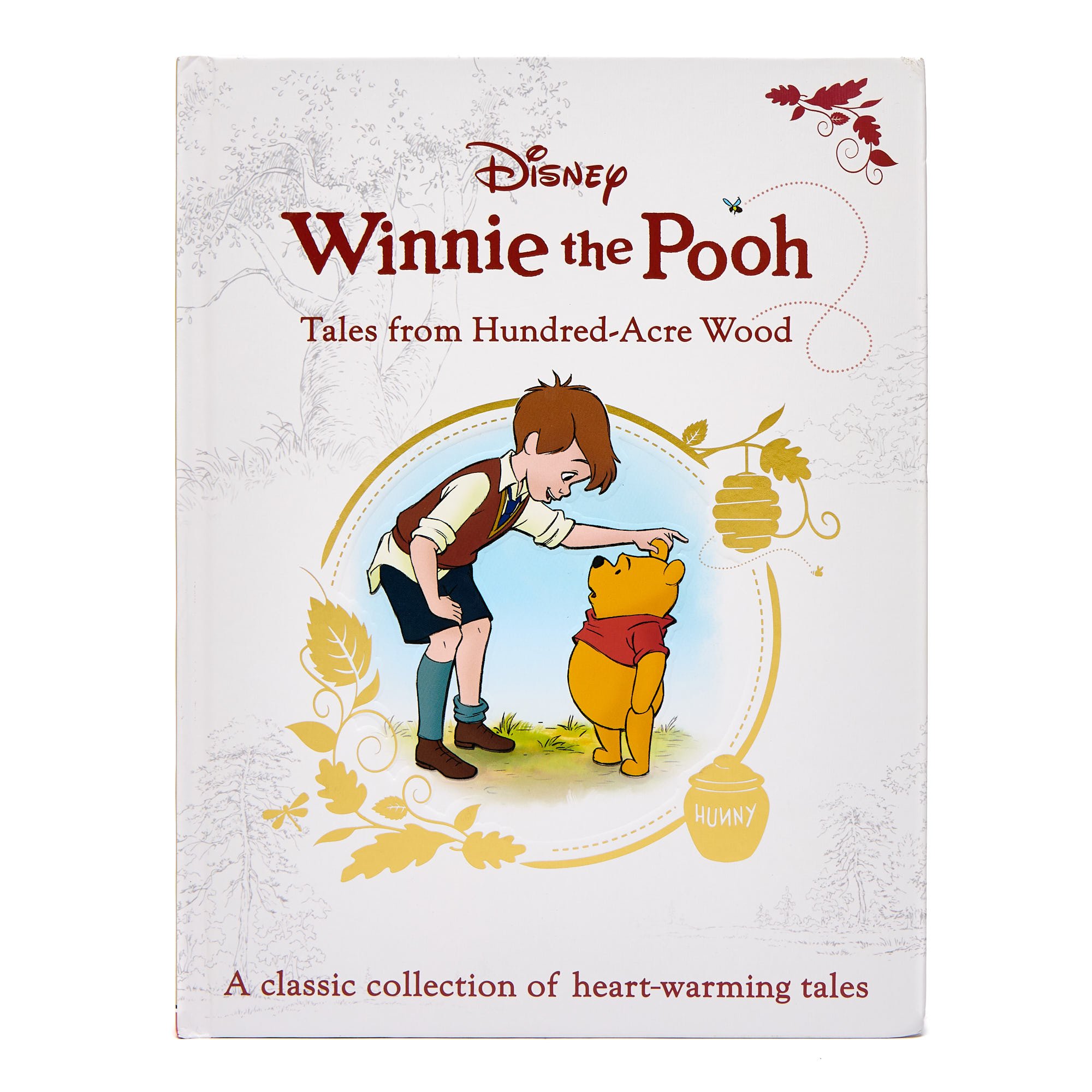 Disney Winnie the Pooh Tales from Hundred-Acre Wood,  Disney Winnie the Pooh Tales from Hundred-Acre Wood