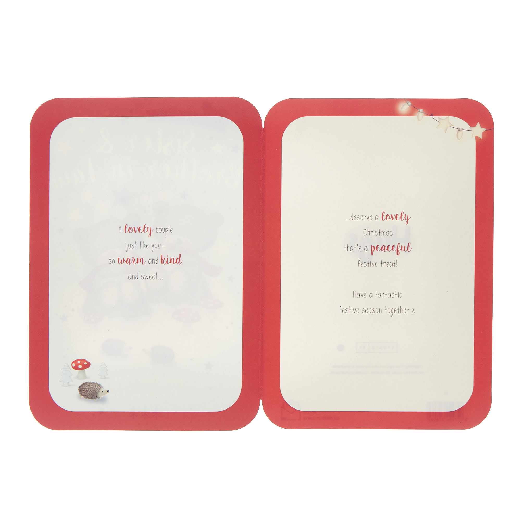 Sister & Brother In Law Hugs Christmas Card