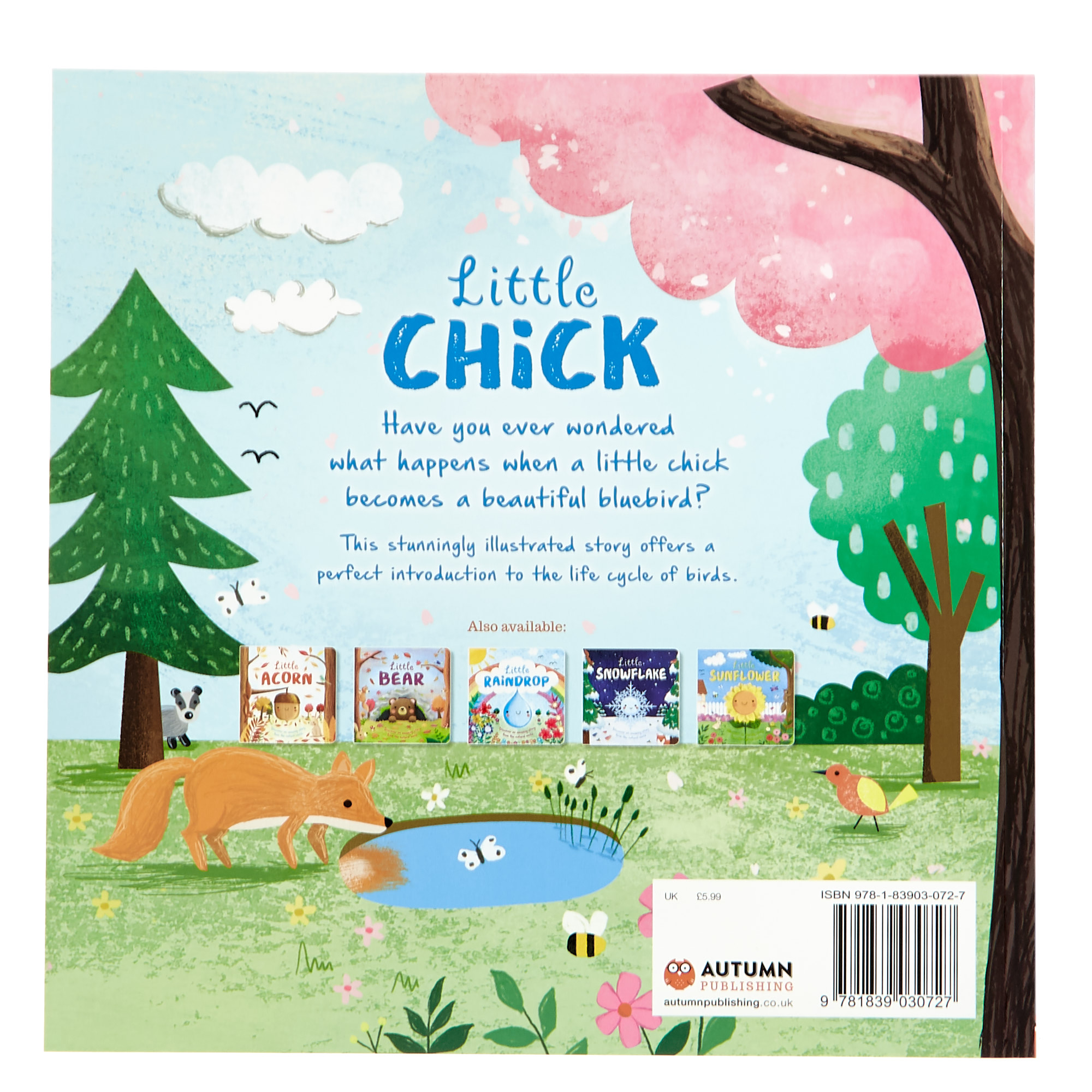 Little Chick Storybook
