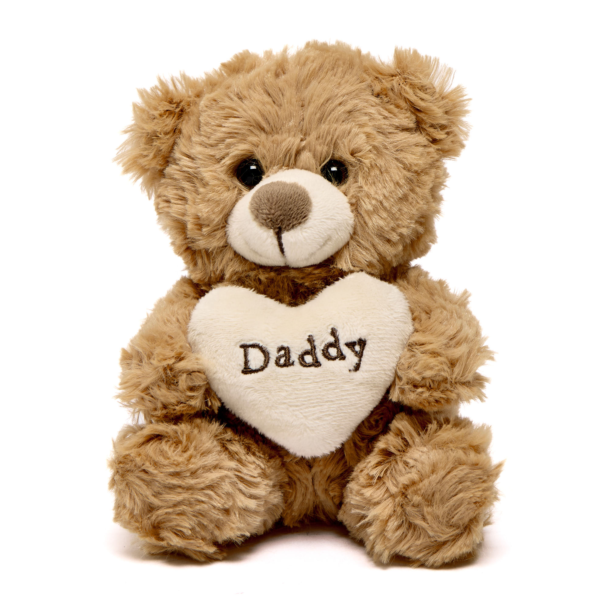 Cuddles From Daddy Bear In A Bag