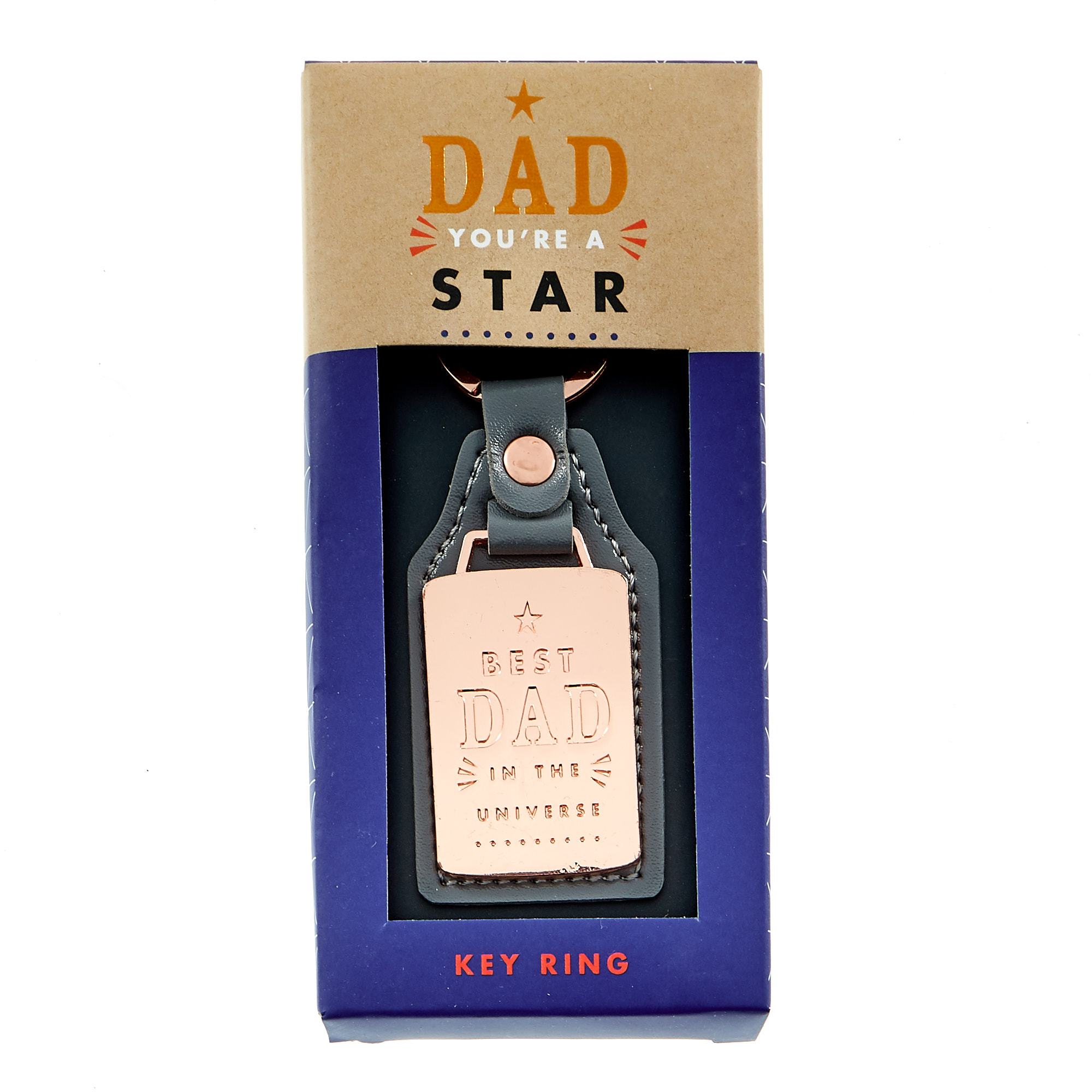 Best Dad In The Universe Keyring