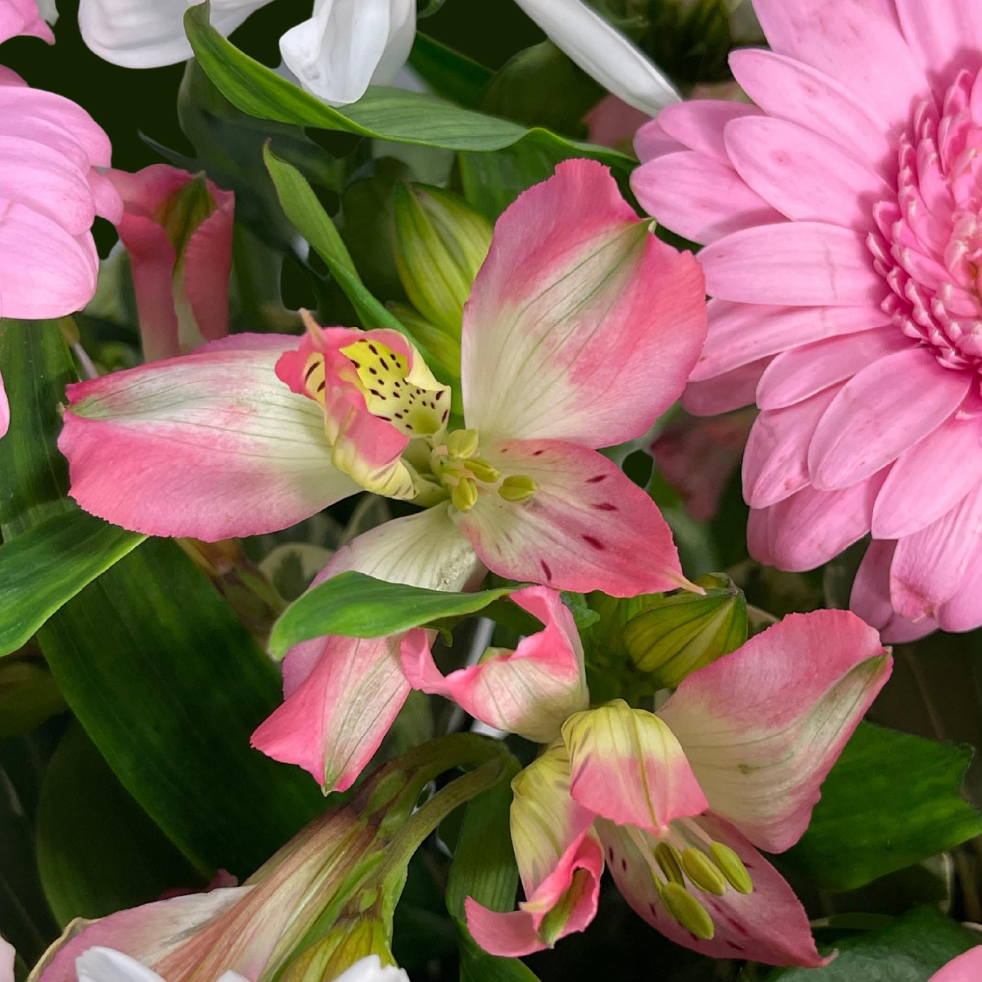 Strawberries & Cream Flower Bouquet - Free Delivery!