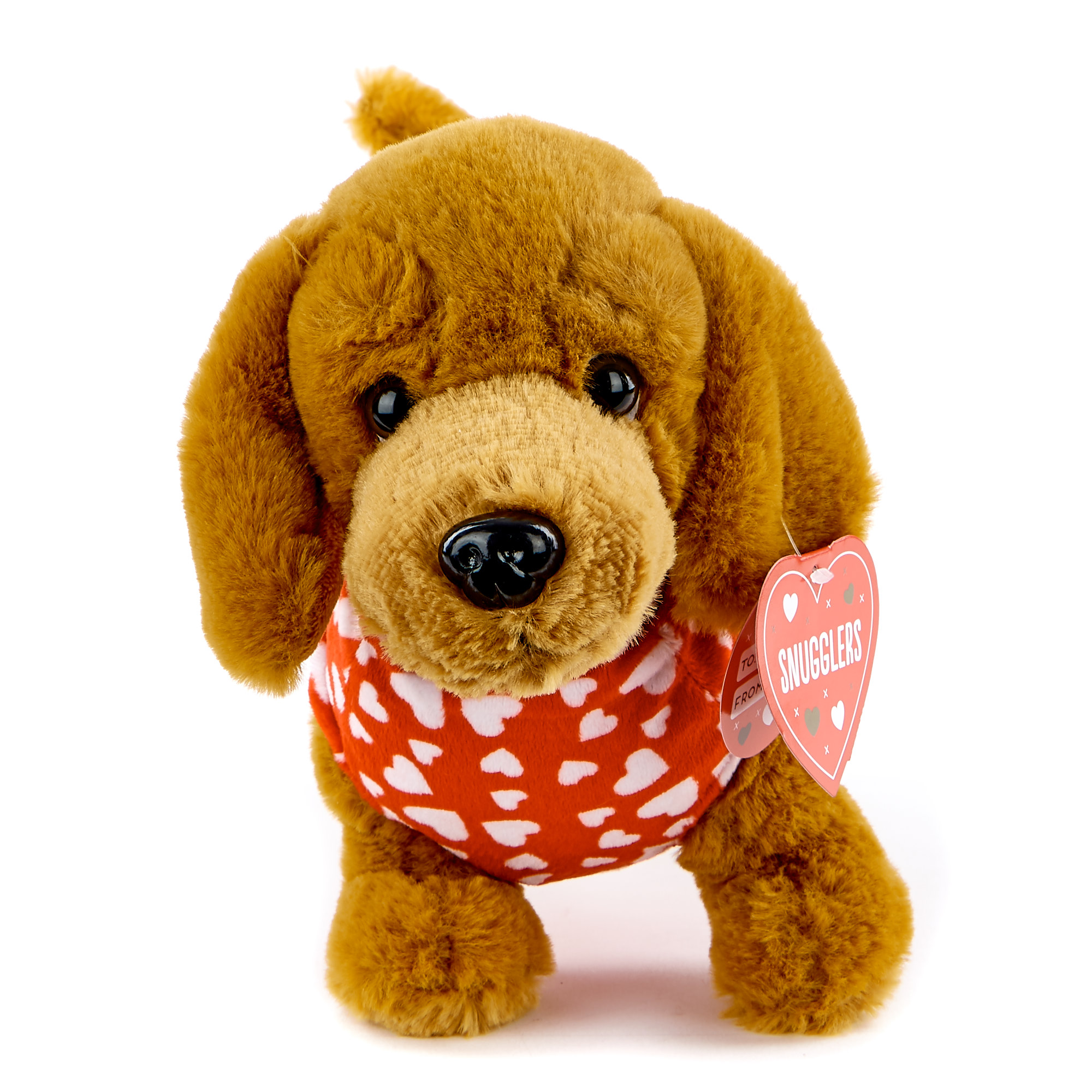 Sausage Dog Valentine's Day Soft Toy