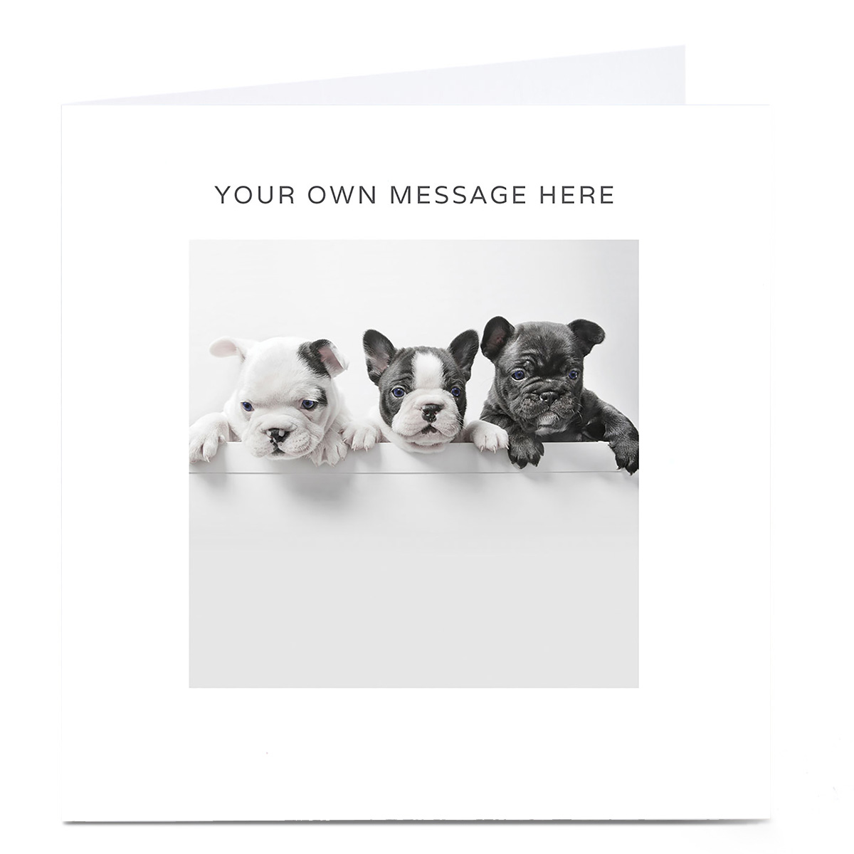Personalised Card - French Bulldog Puppies