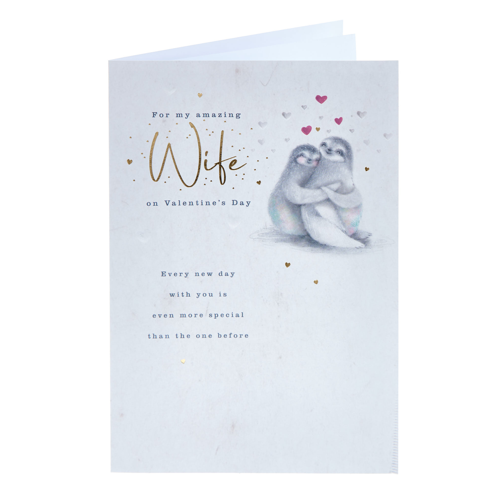 Amazing Wife Sloths Valentine's Day Card  