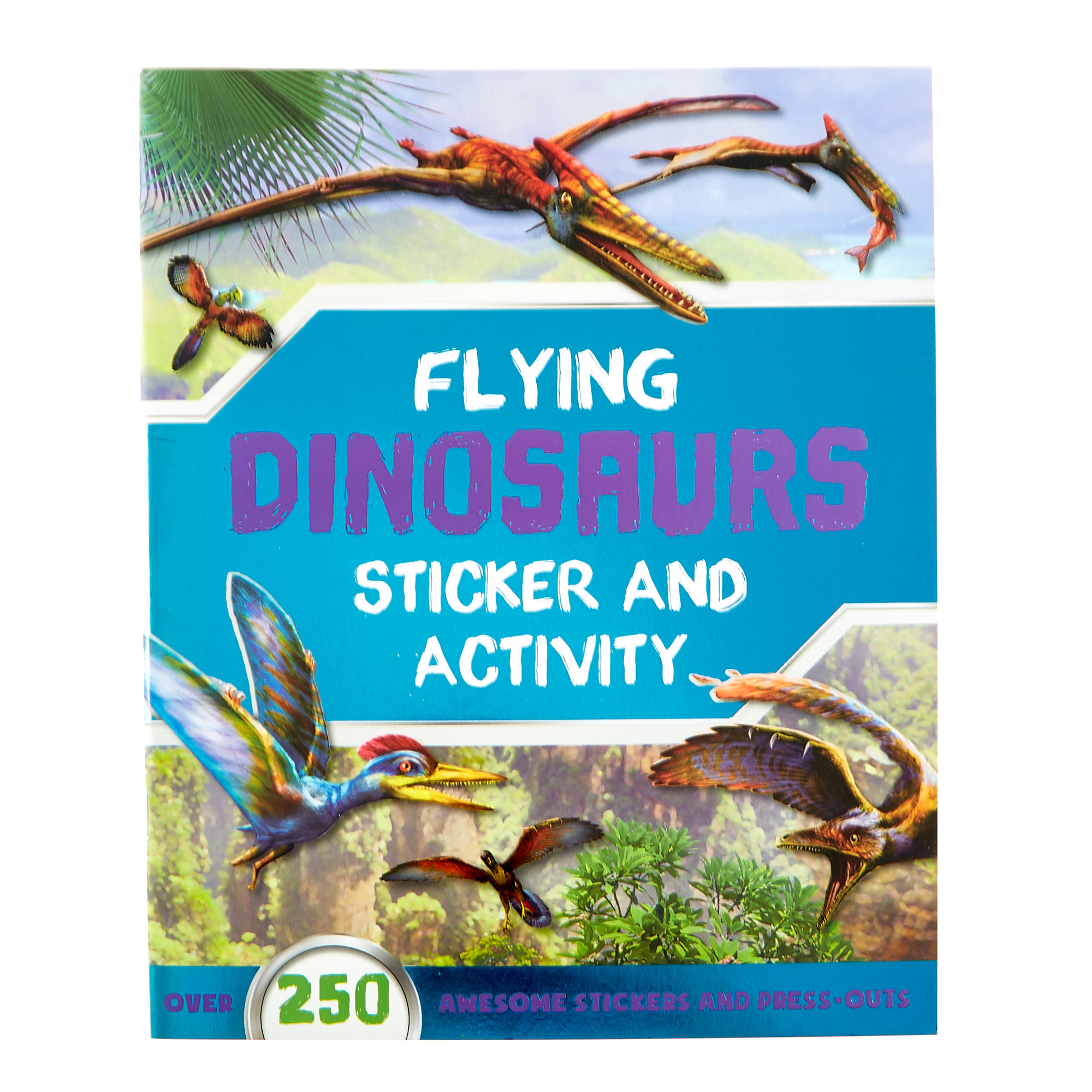 Dinosaurs Sticker & Activity Books - Set Of 3