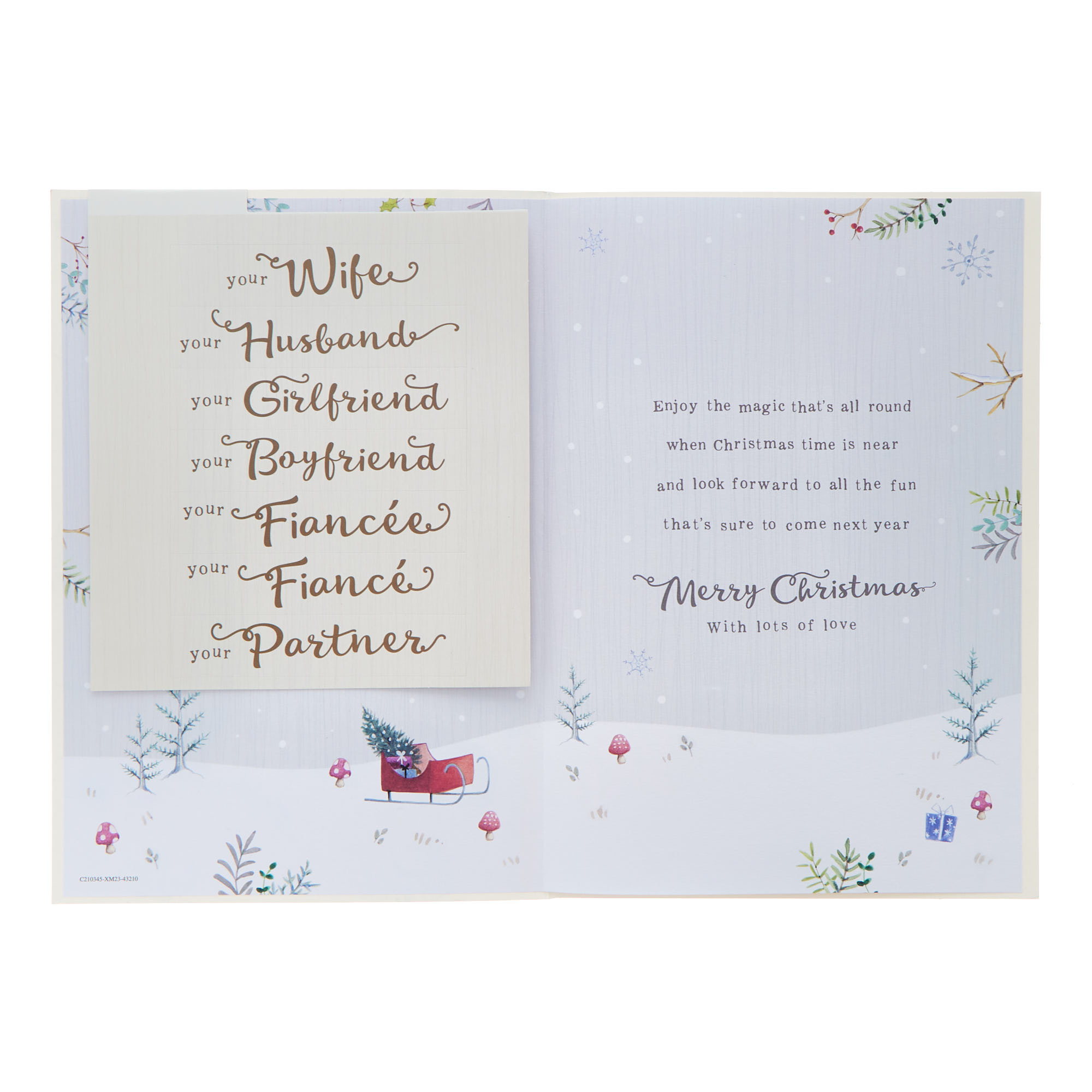 Grandson & Partner Verse & Animals Christmas Card (With Stickers)