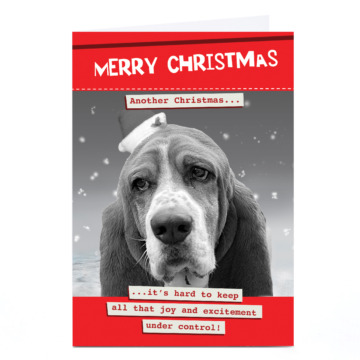 Personalised Quitting Hollywood Christmas Card - Merry Christmas Dog