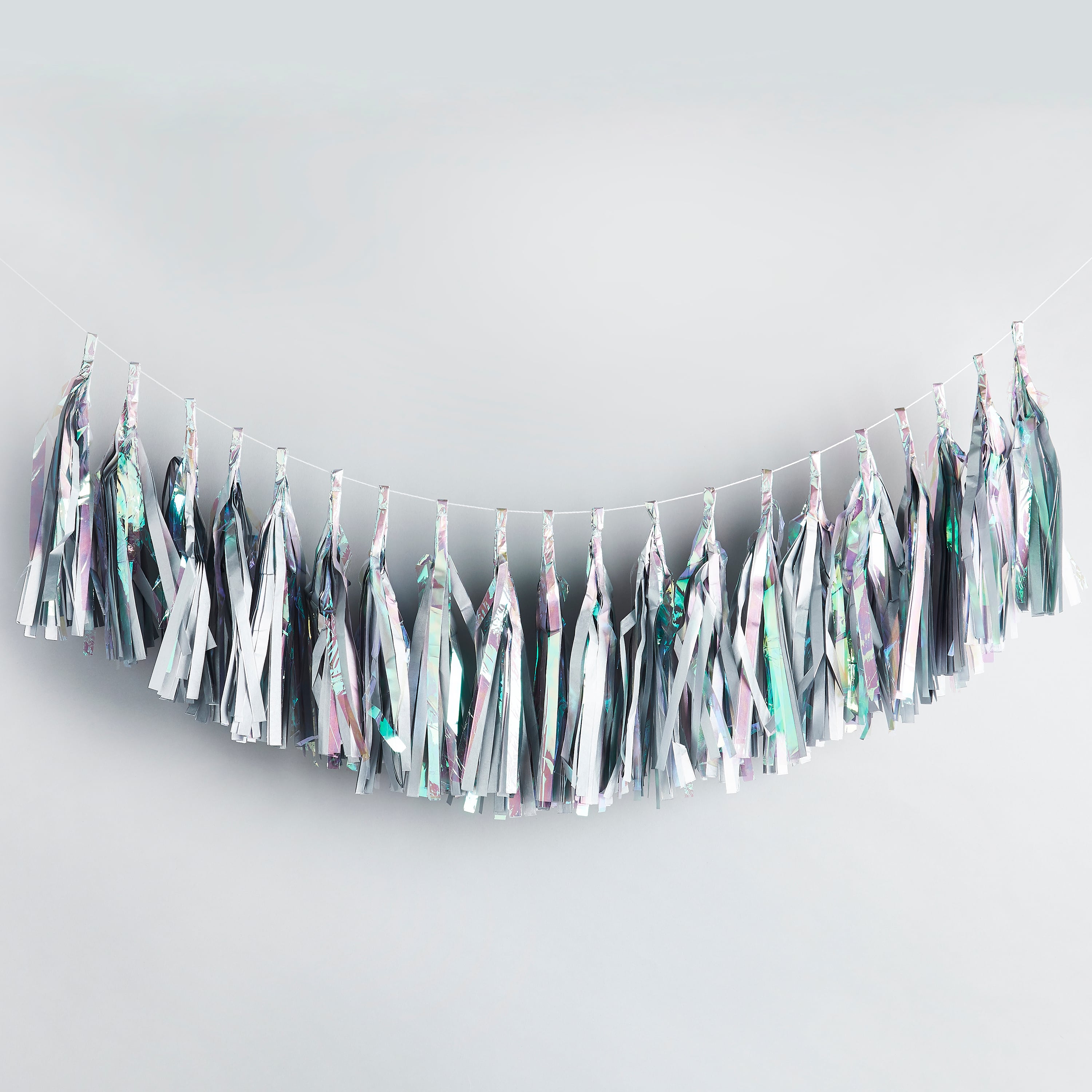 Metallic Iridescent Tassel Garland 2m