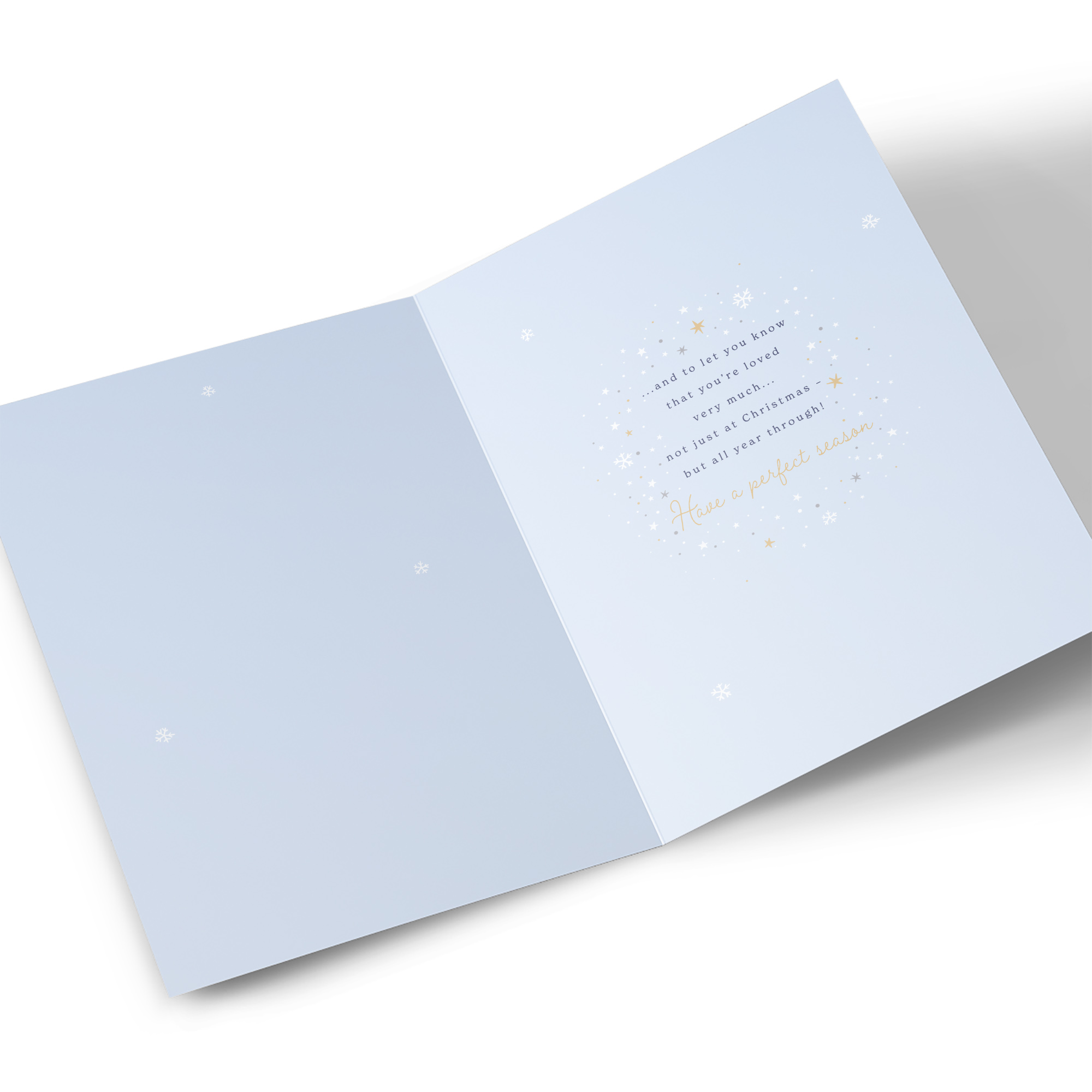 Christmas Card - Such Special Grandparents Bears, Nana & Grandad