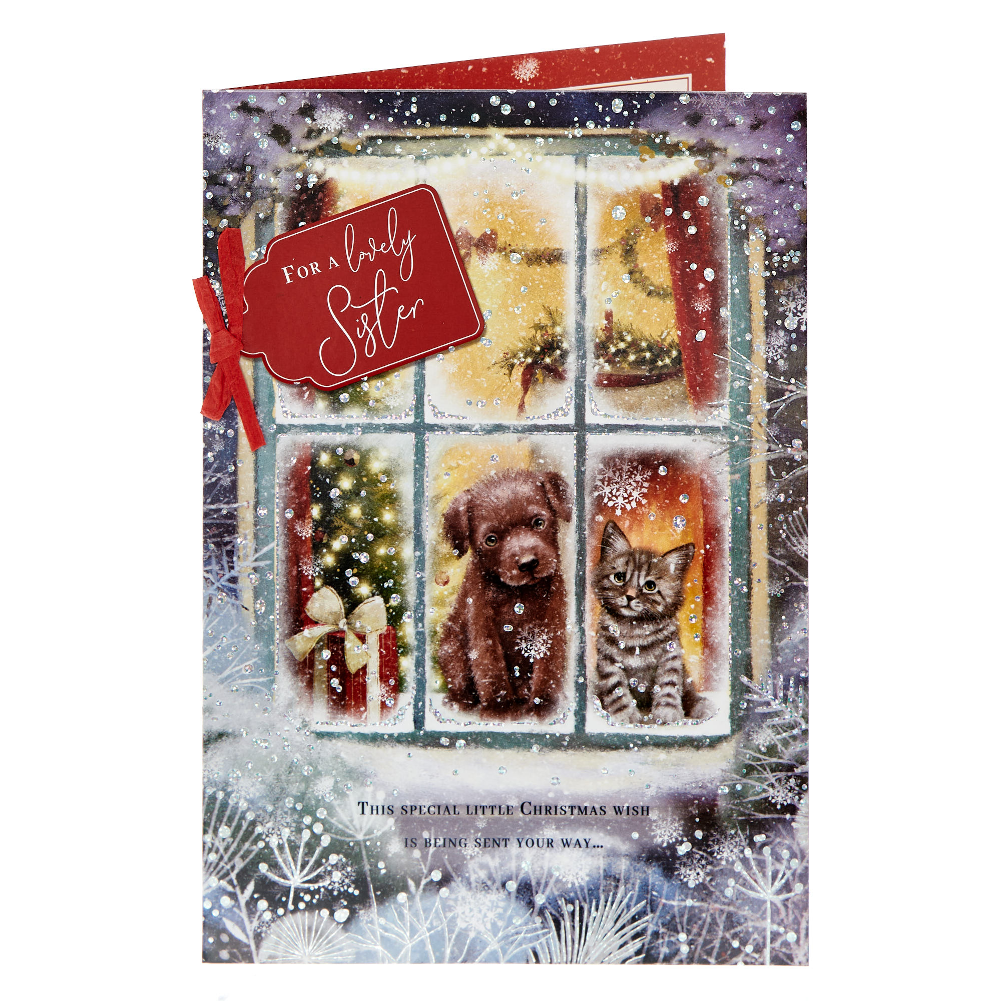 Sister Pets In Window Christmas Card