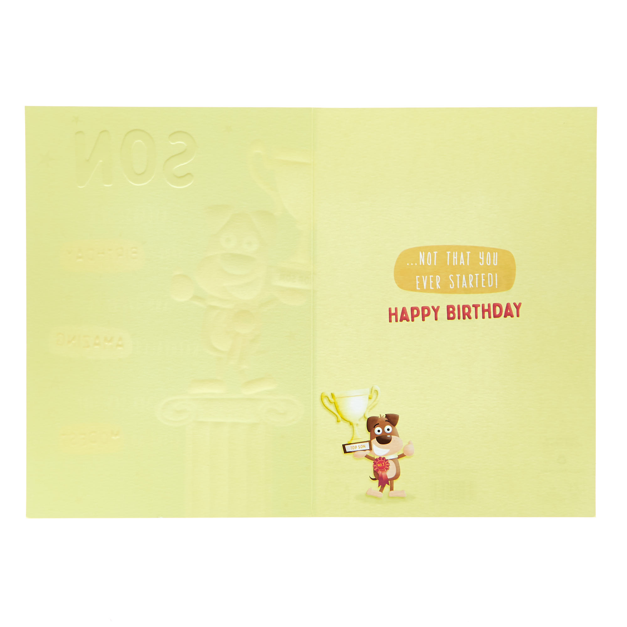 Son Naturally Amazing No.1 Dog Birthday Card