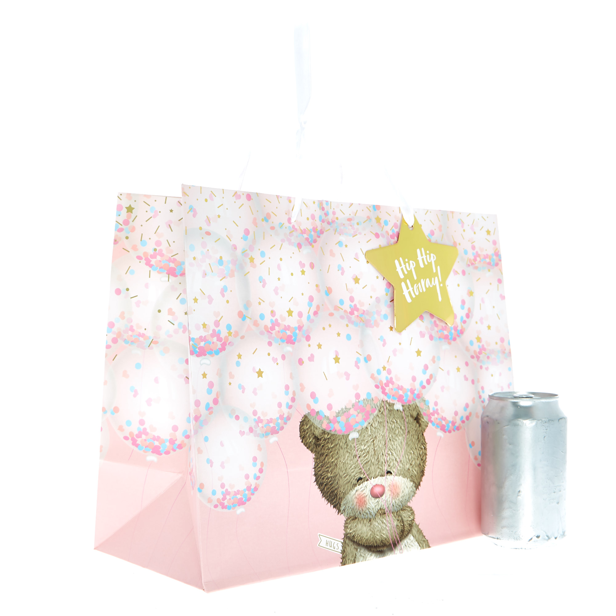 Large Landscape Hugs Bear Gift Bag - Hooray!