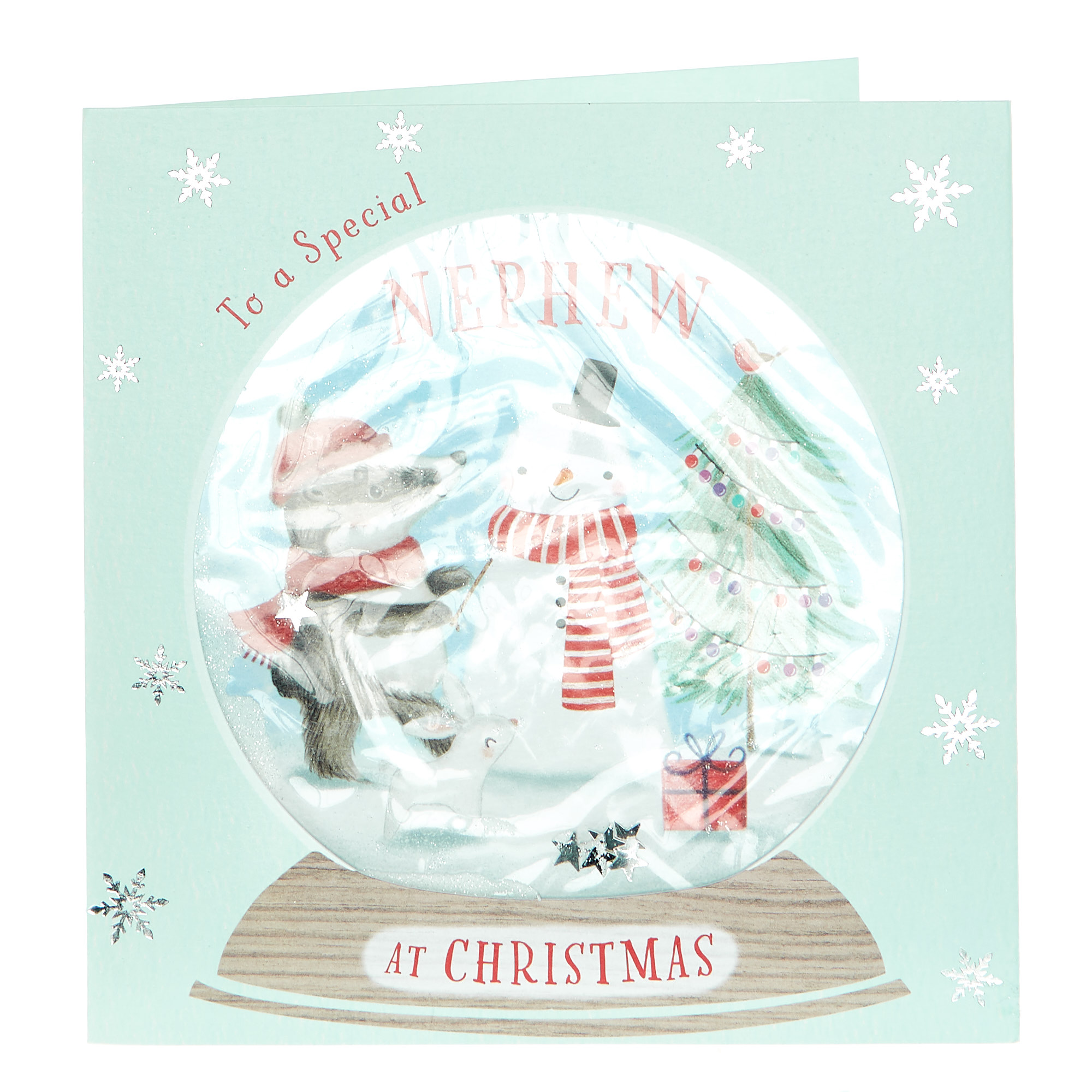 Boutique Collection Christmas Card - Nephew Snow Globe