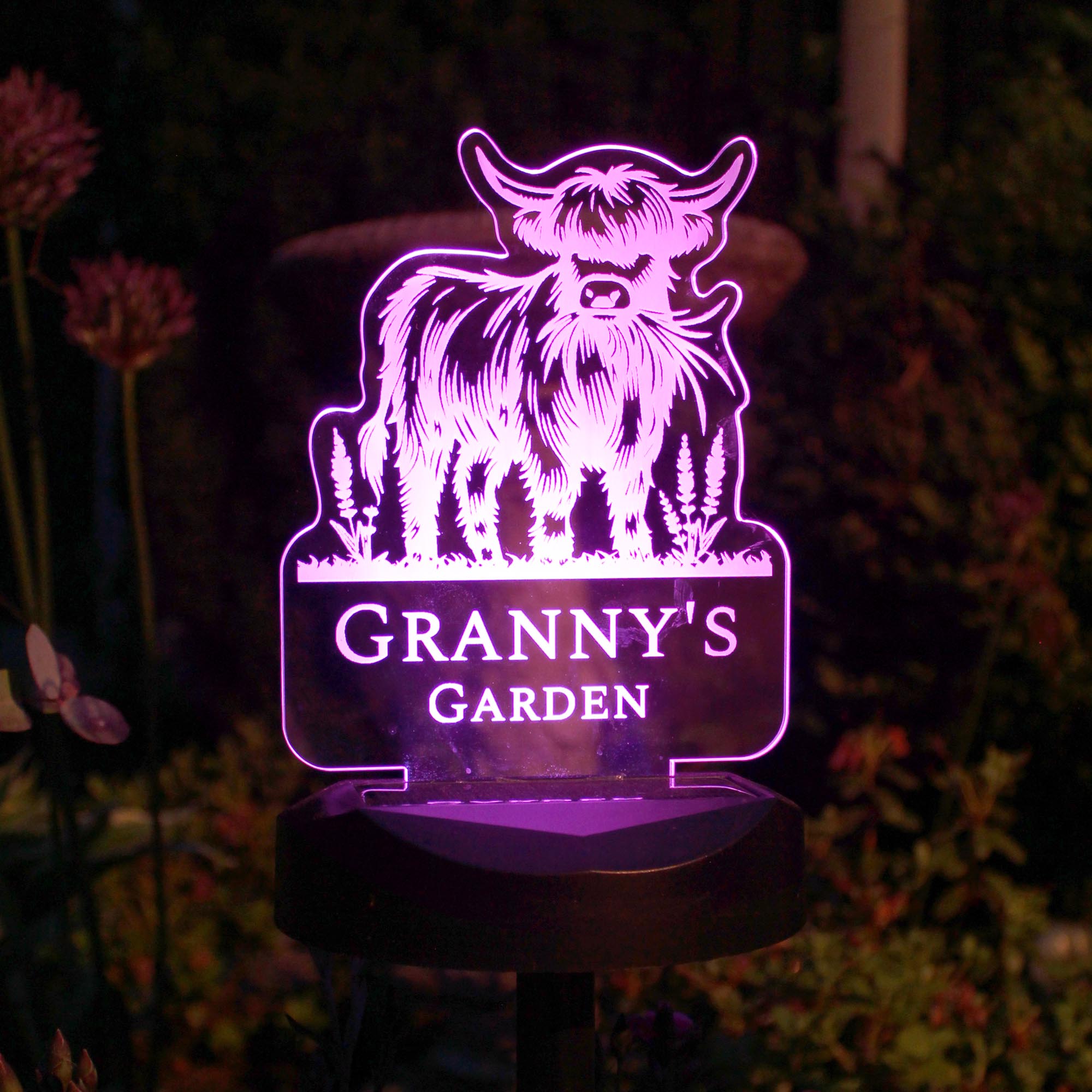 Personalised Highland Cow Garden Solar Light