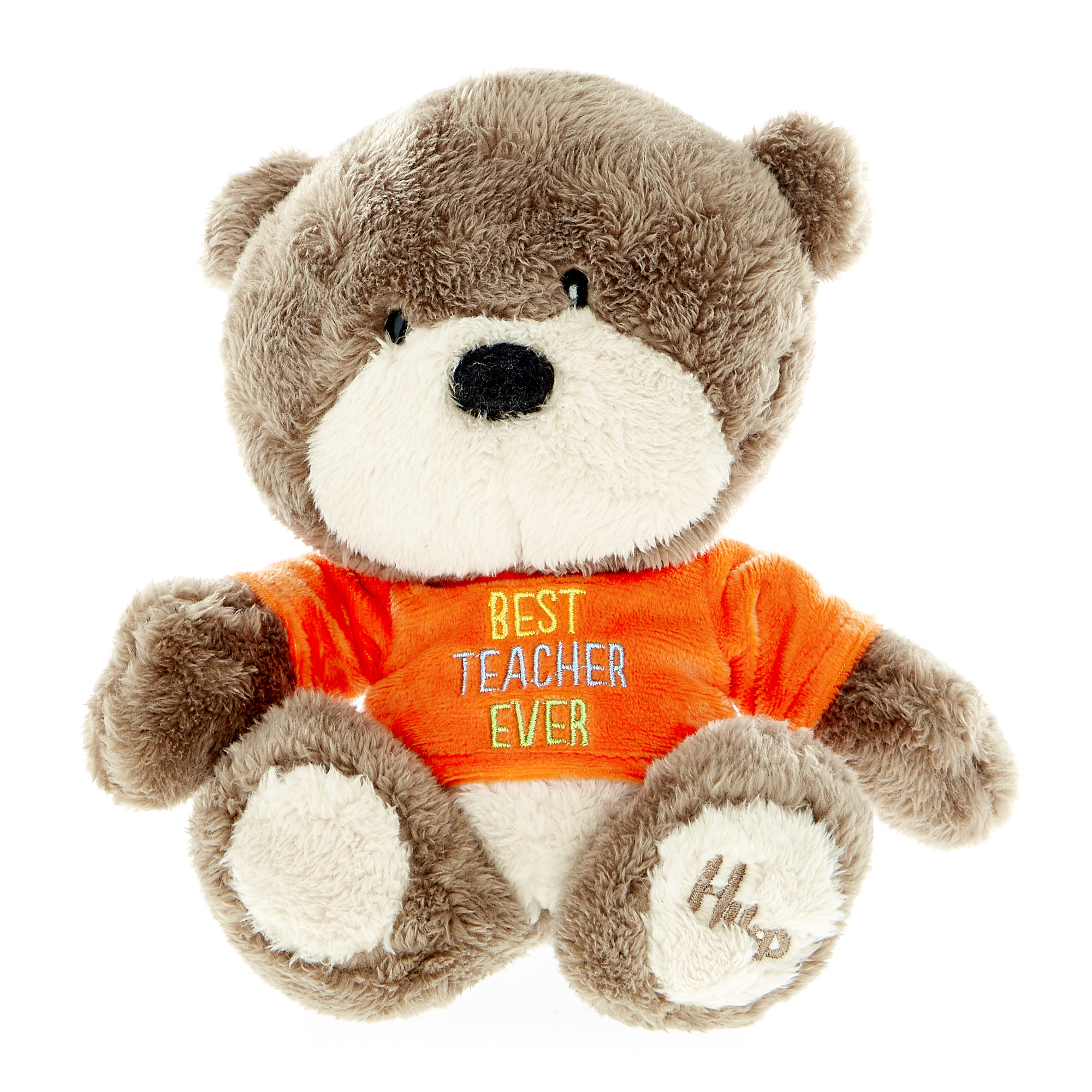 Hugs Bear Best Teacher Ever Soft Toy 
