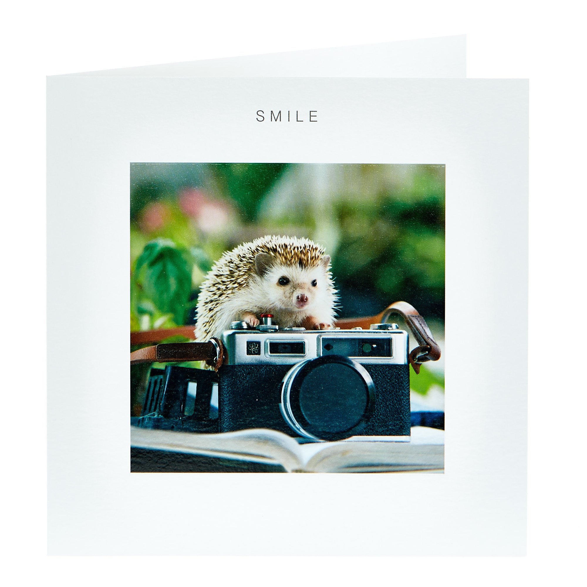 Any Occasion Card - Smile Hedgehog