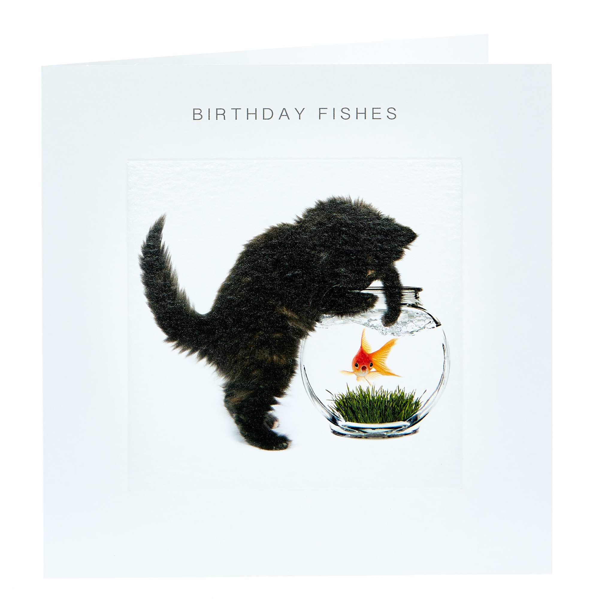 Birthday Card - Birthday Fishes