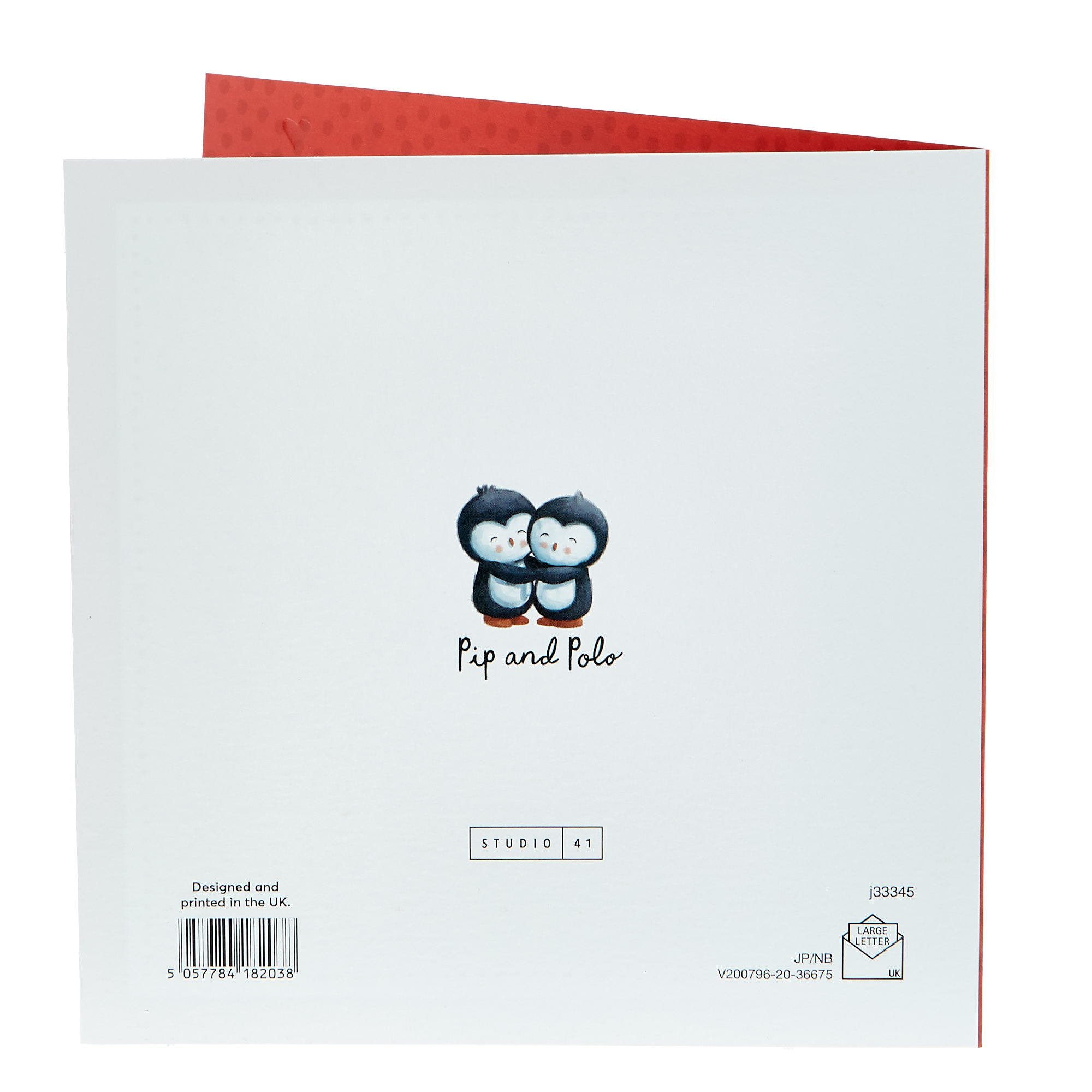 Valentine's Day Card - Husband Penguins & Bunting