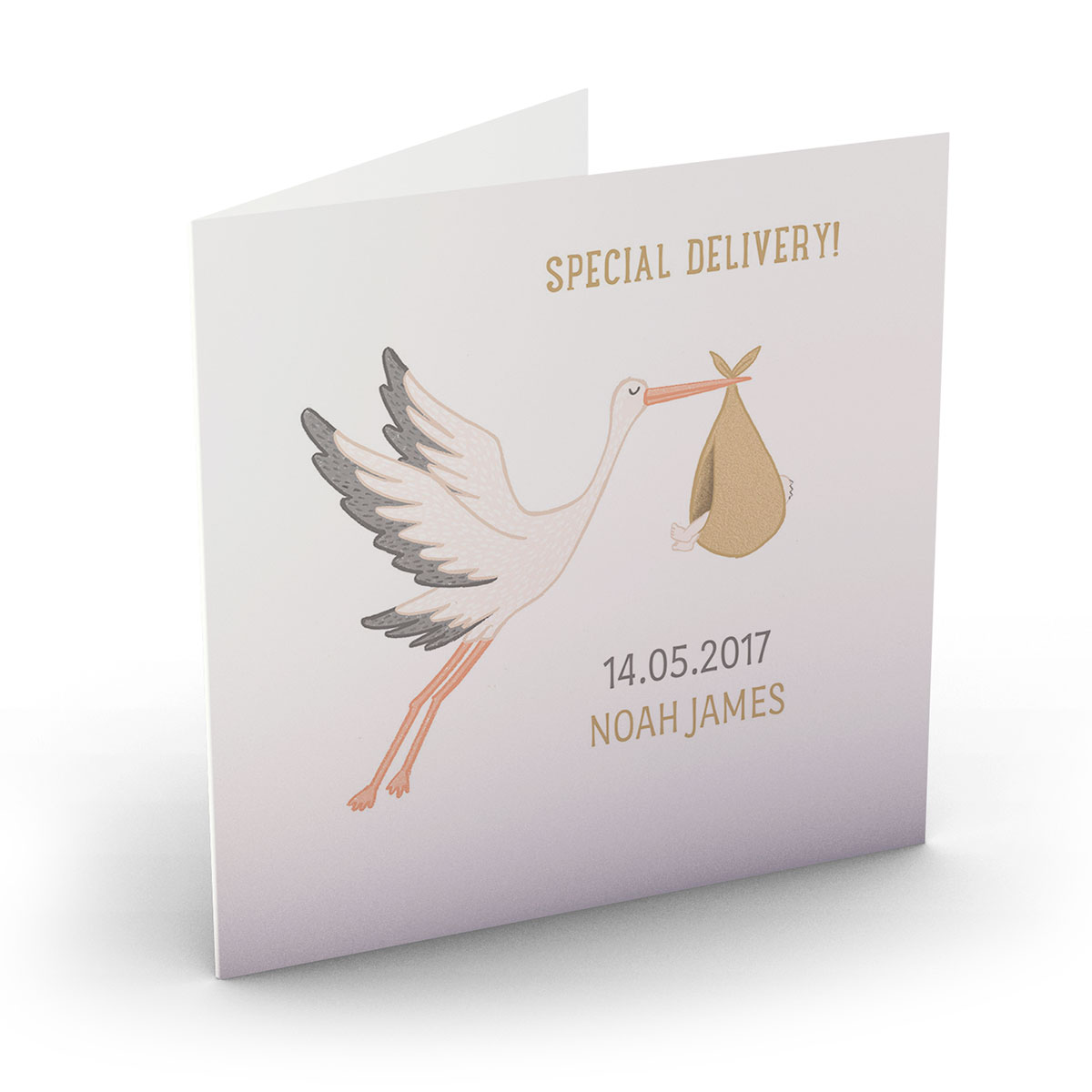 Personalised New Baby Card - Special Delivery Stork