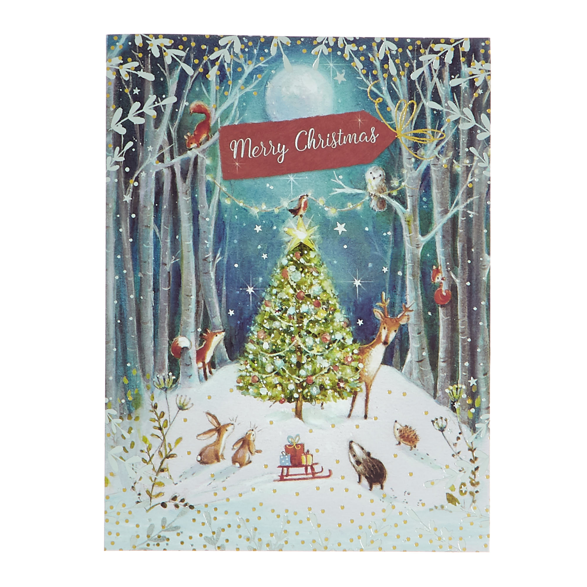 10 Deluxe Charity Boxed Christmas Cards - Festive Woodland (2 Designs)