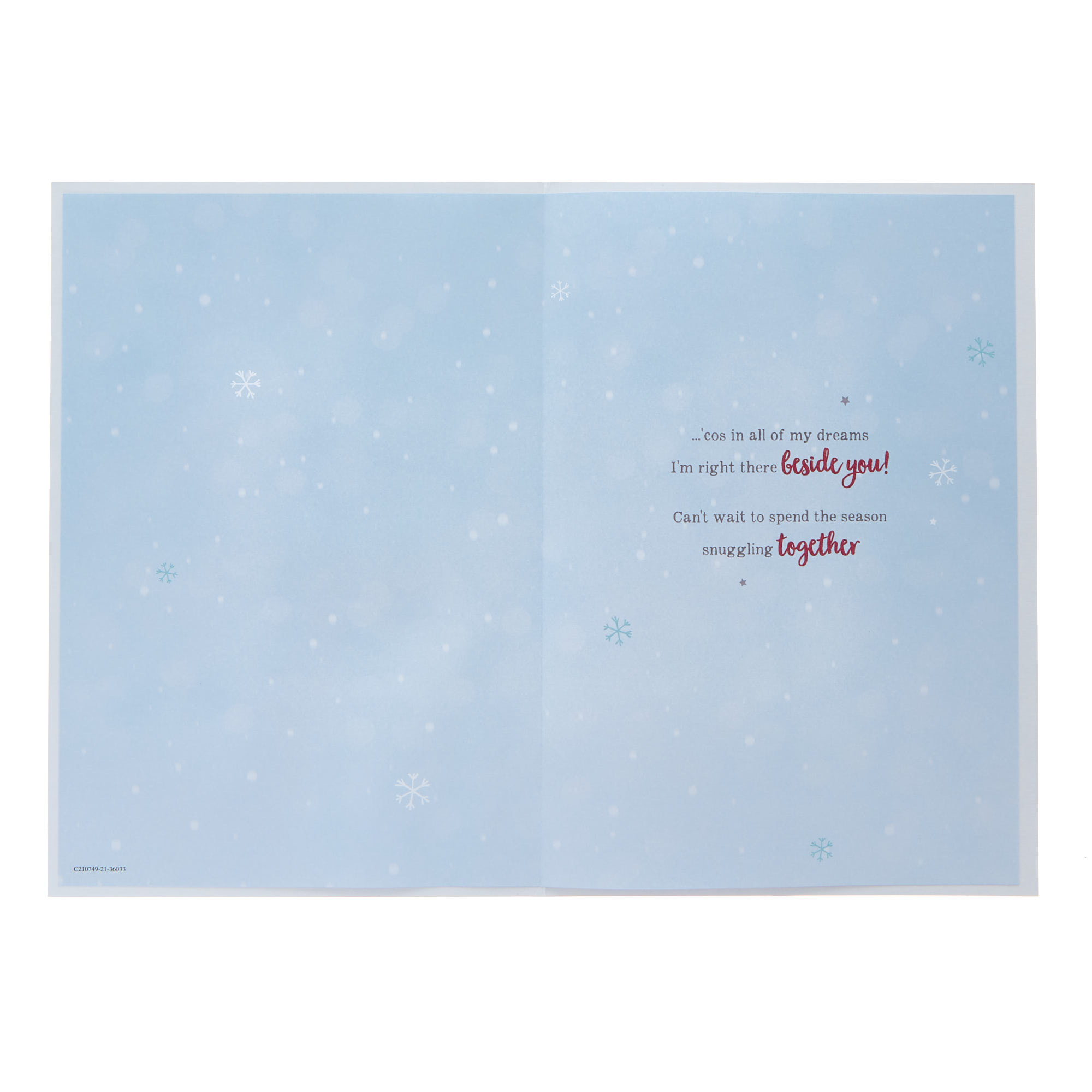 Husband Penguins Umbrella Christmas Card