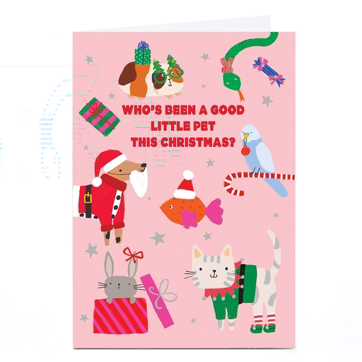 Personalised To The Pet Christmas Card - Lots of Colourful Pets