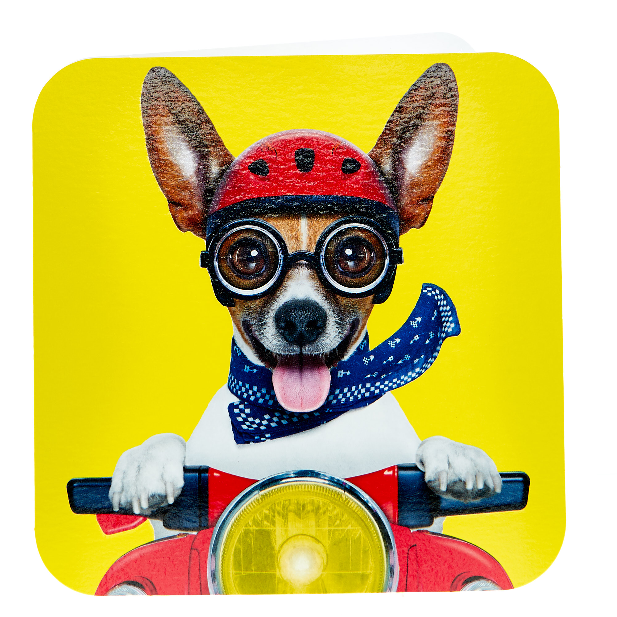 Any Occasion Card - Dog On A Scooter
