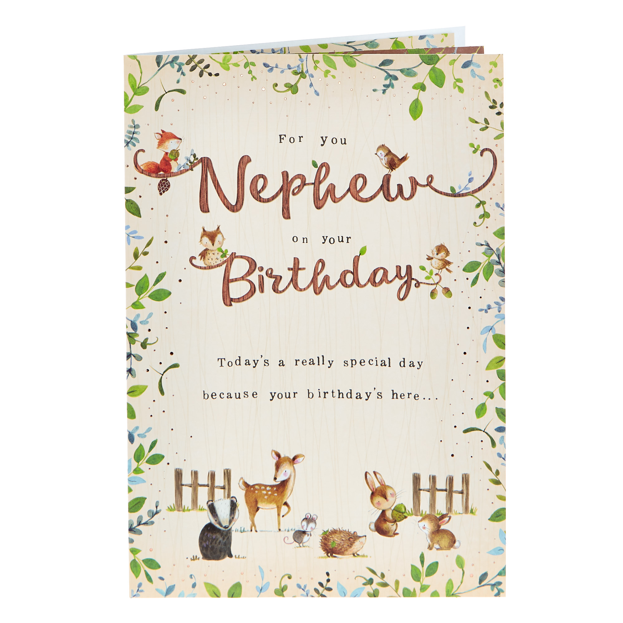 buy birthday card nephew woodland for gbp 099 card factory uk