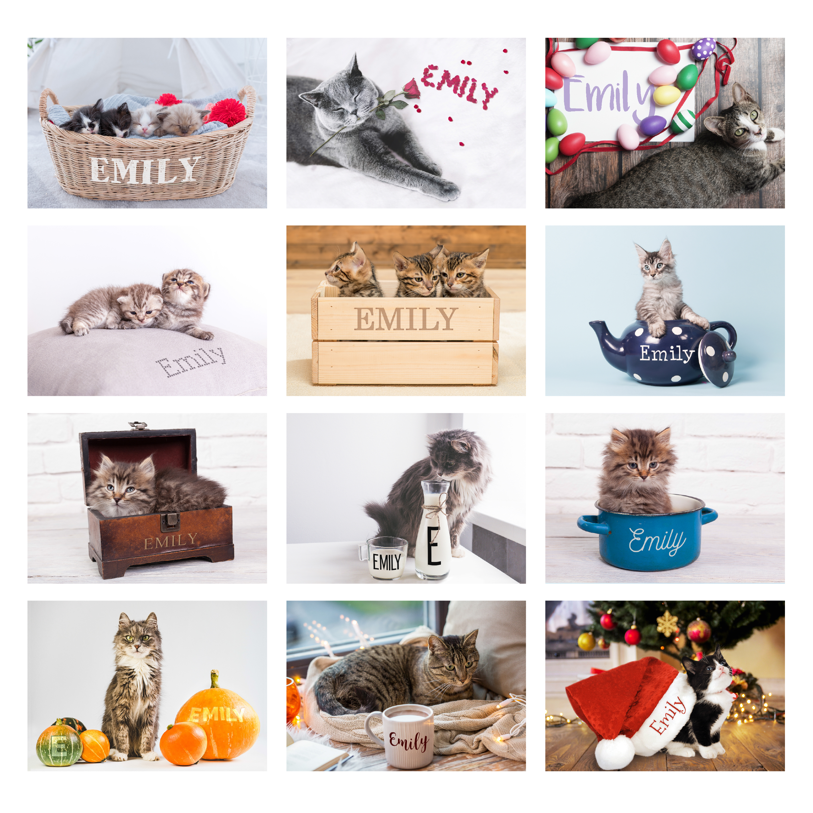 Personalised Cats & Kittens Desk Calendar