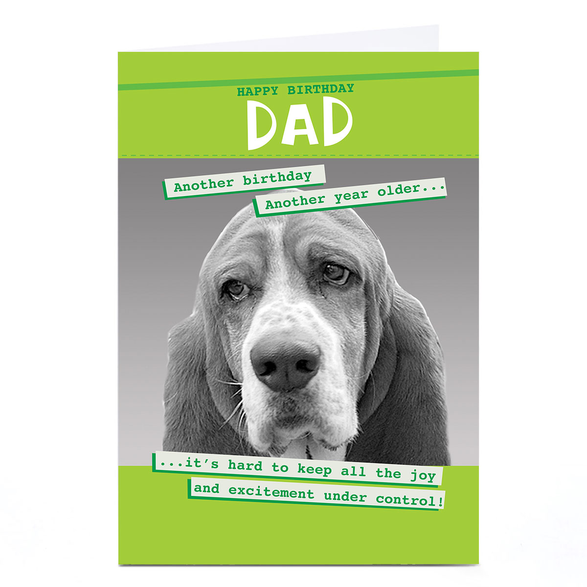Personalised Quitting Hollywood Birthday Card - Dad, Dog