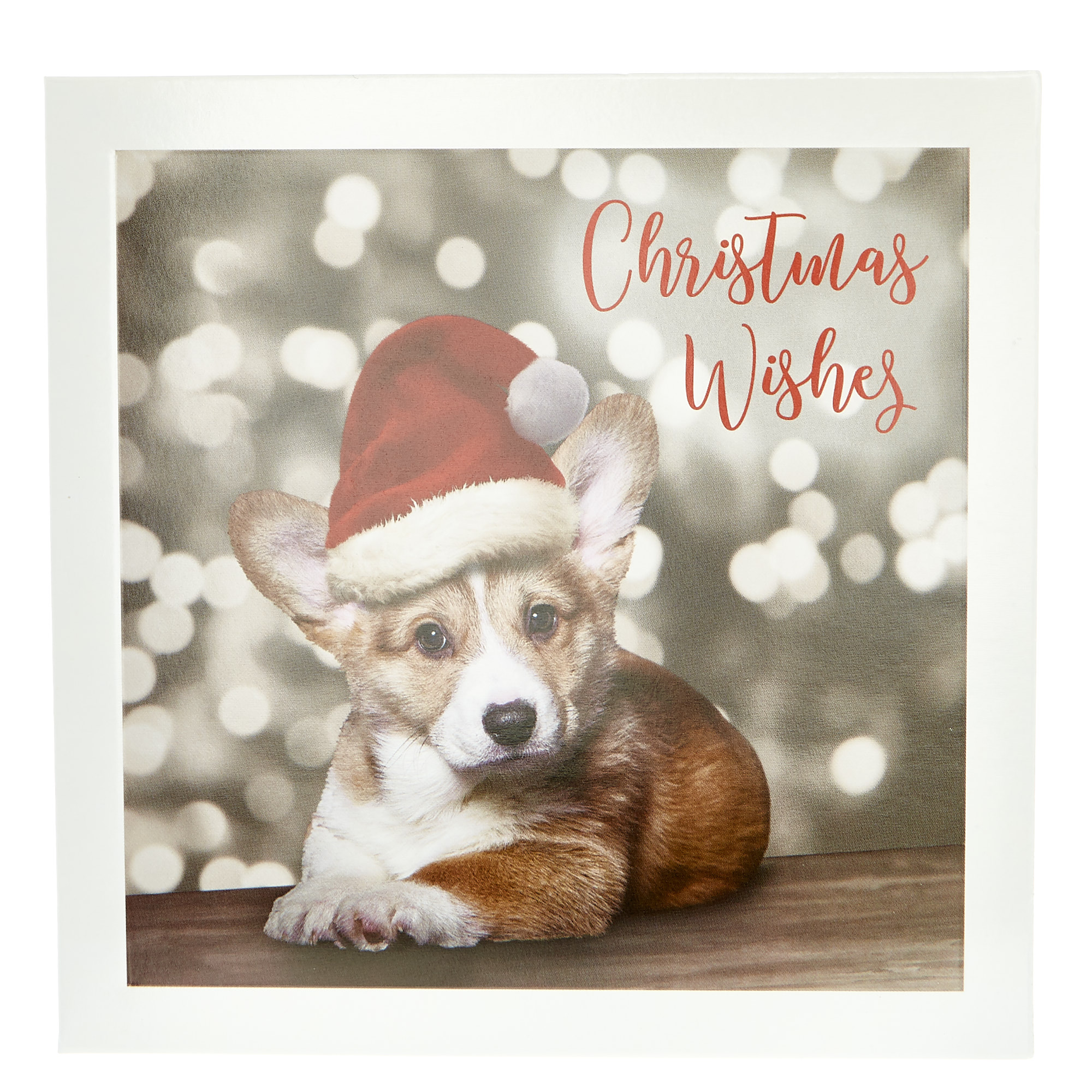 20 Dog-Themed Charity Christmas Cards - 4 Designs 