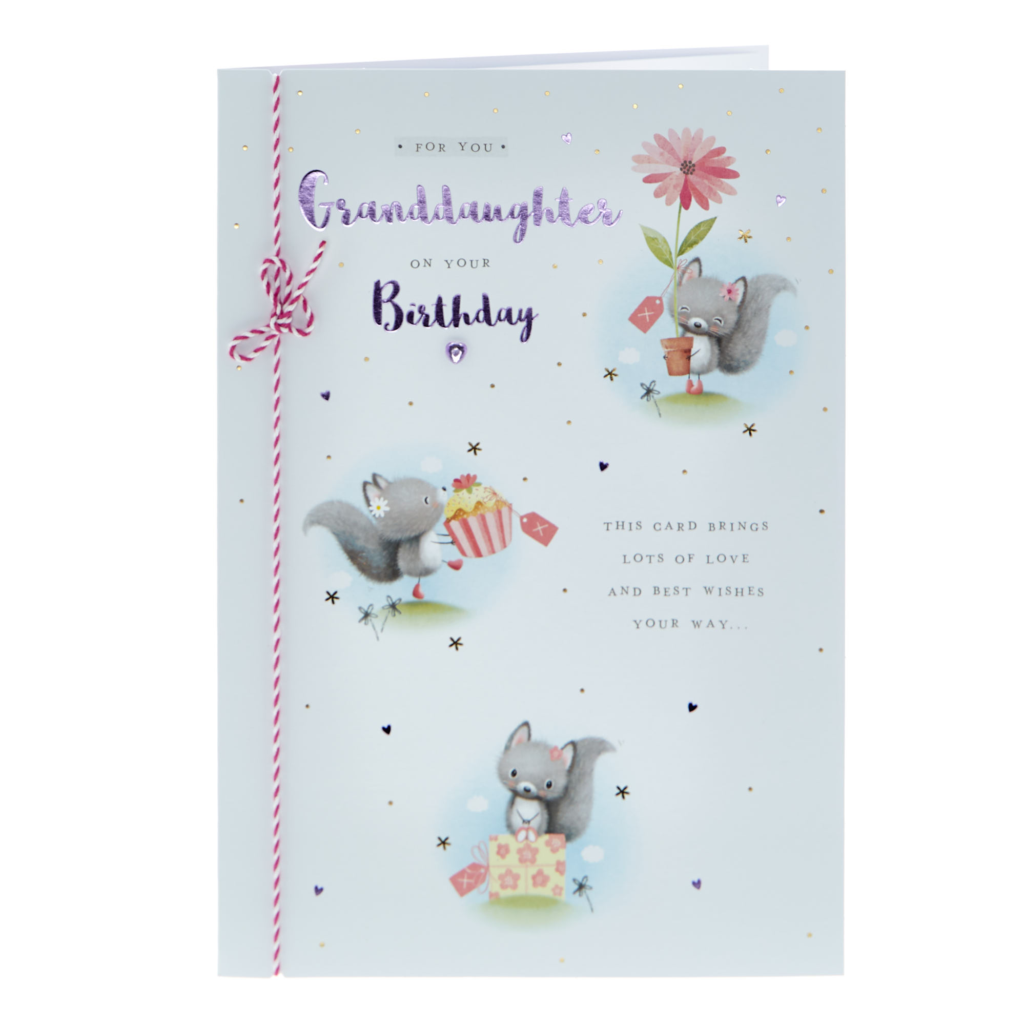Birthday Card - Special Granddaughter Cute Squirrel