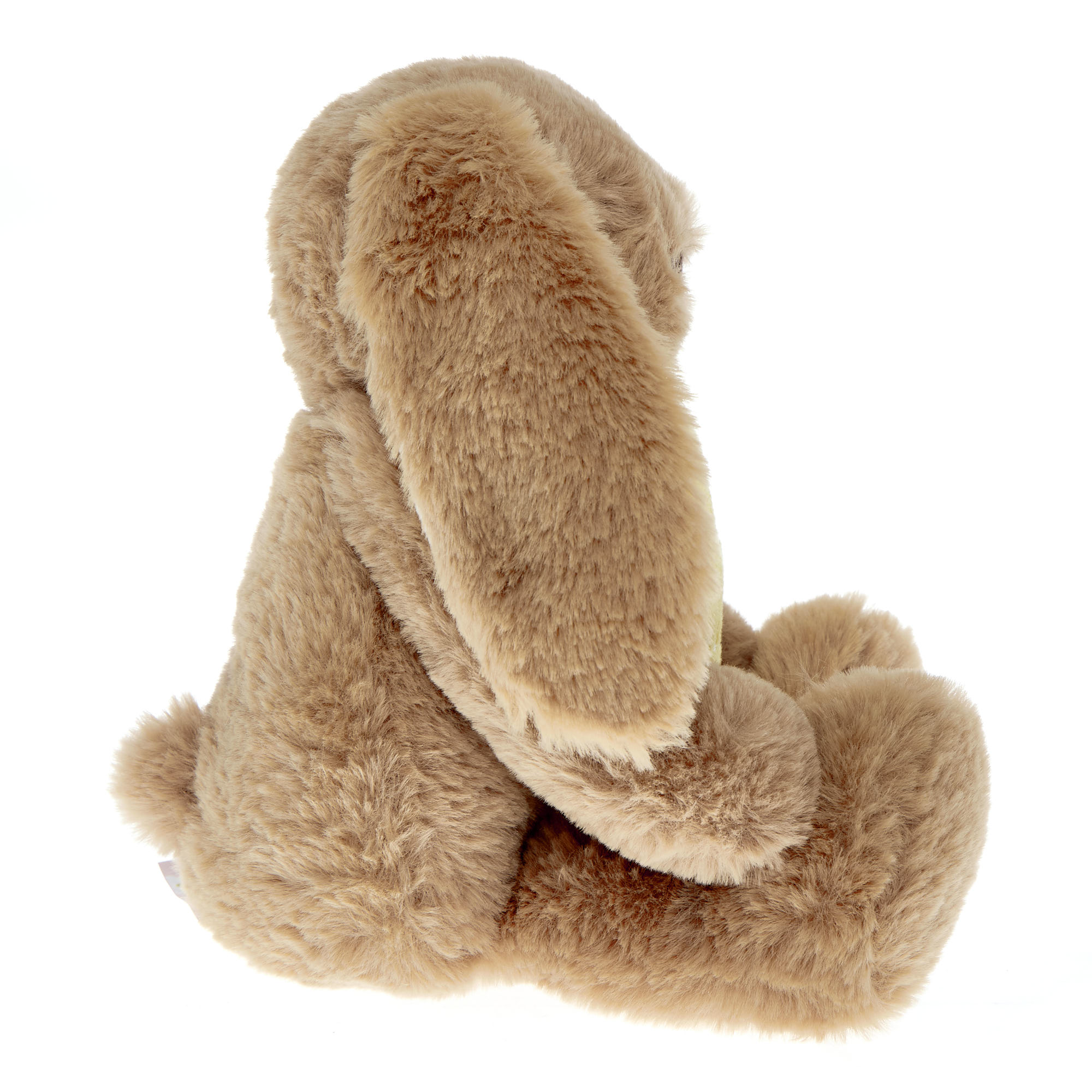 Small Star Teacher Bunny Soft Toy