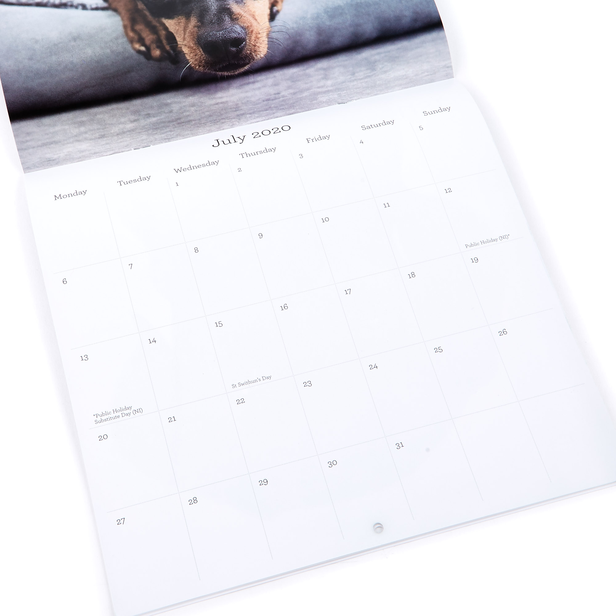 2020 Calendar - Dogs 