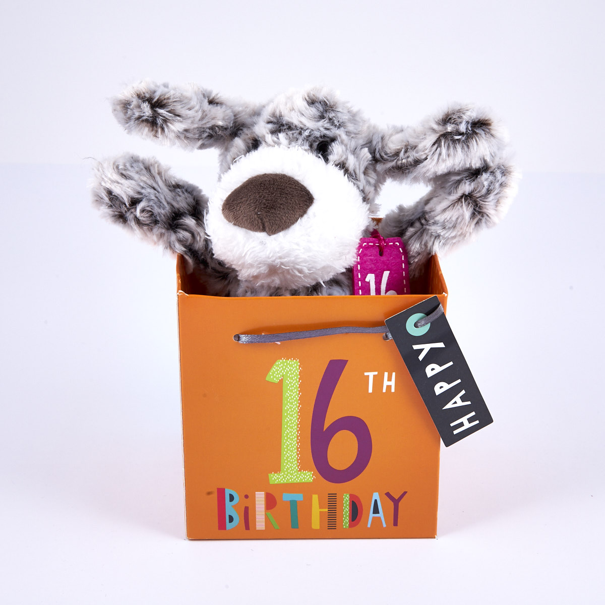 16th Birthday - Grey & White Dog In Gift Bag