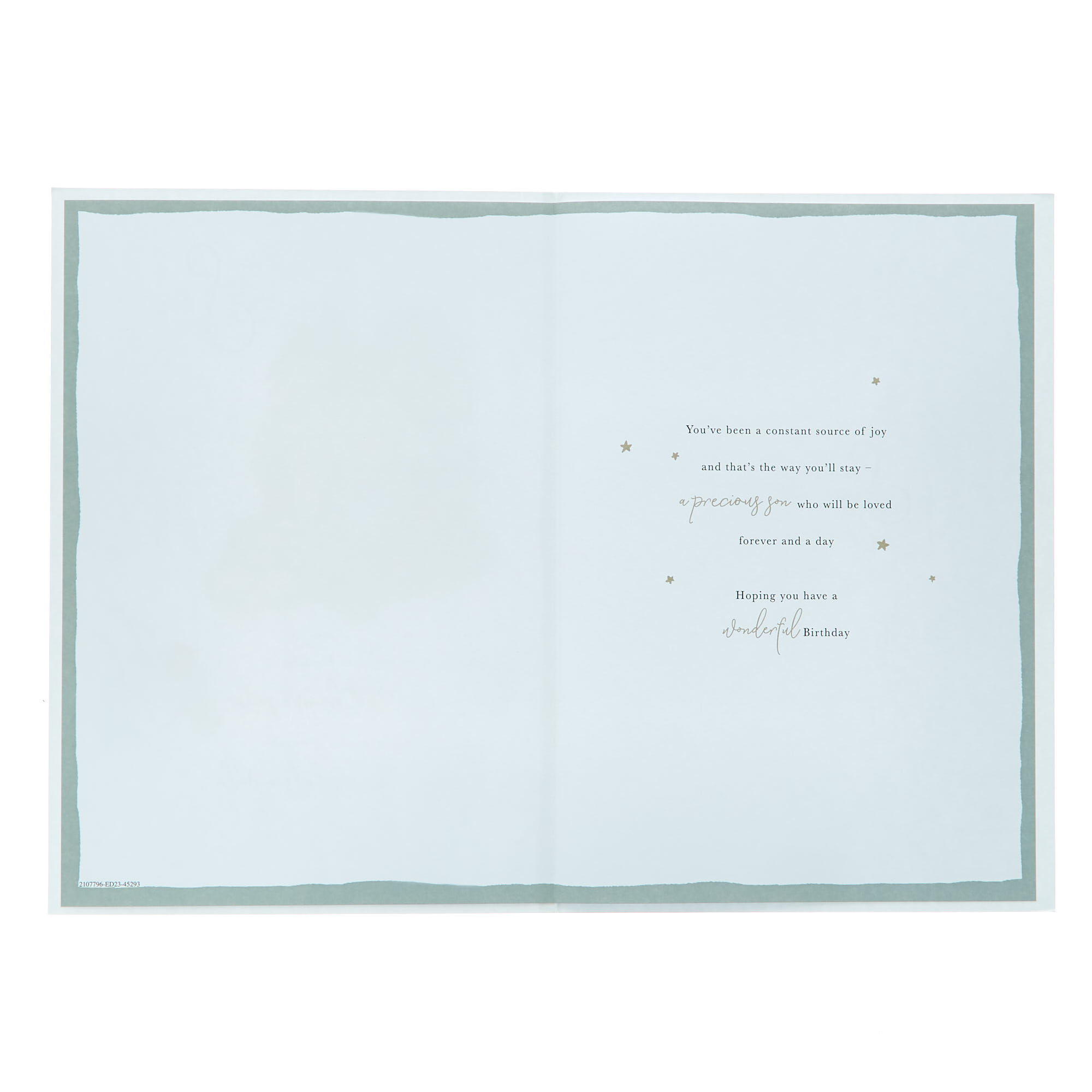 Son Especially For You Greenhouse Birthday Card