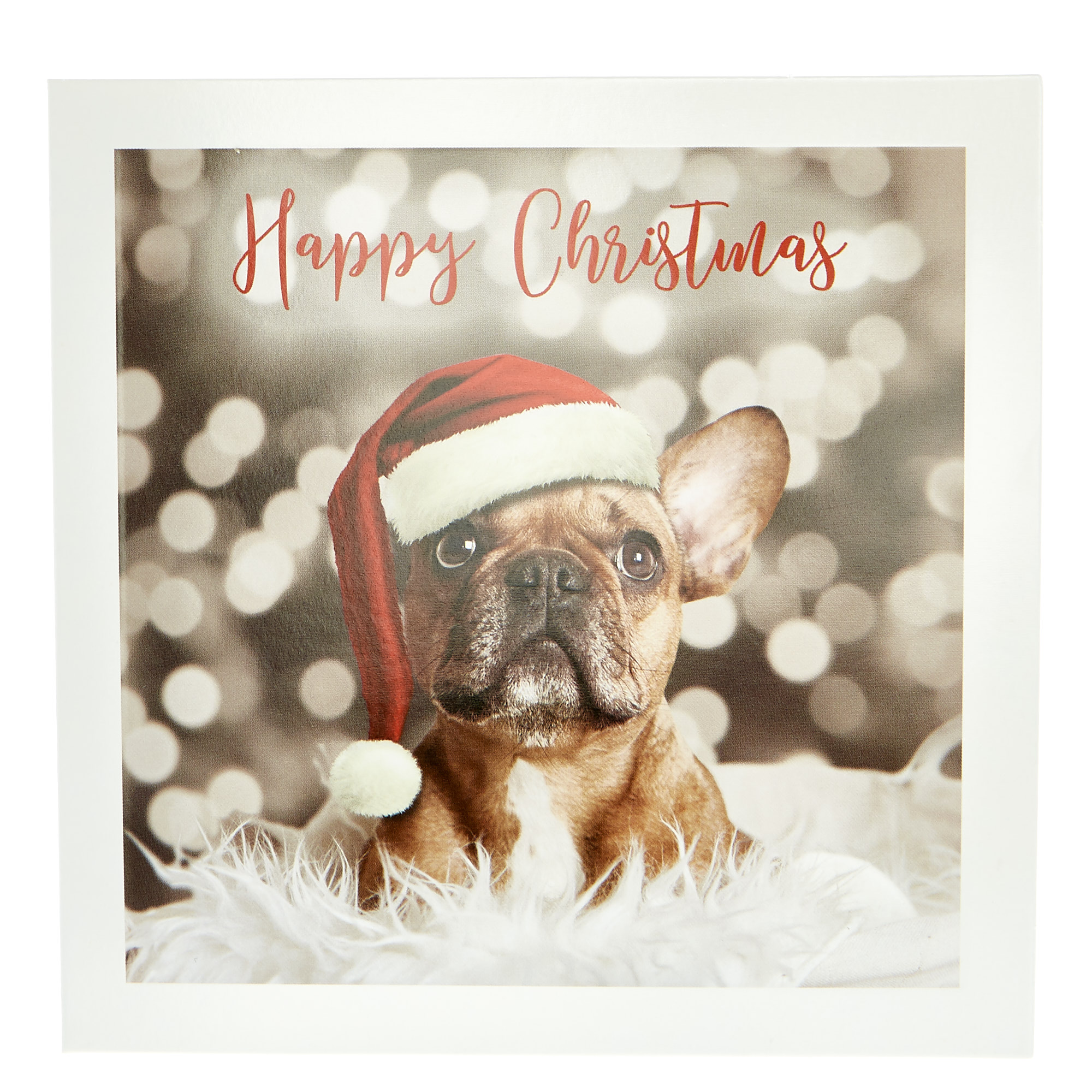 20 Dog-Themed Charity Christmas Cards - 4 Designs 