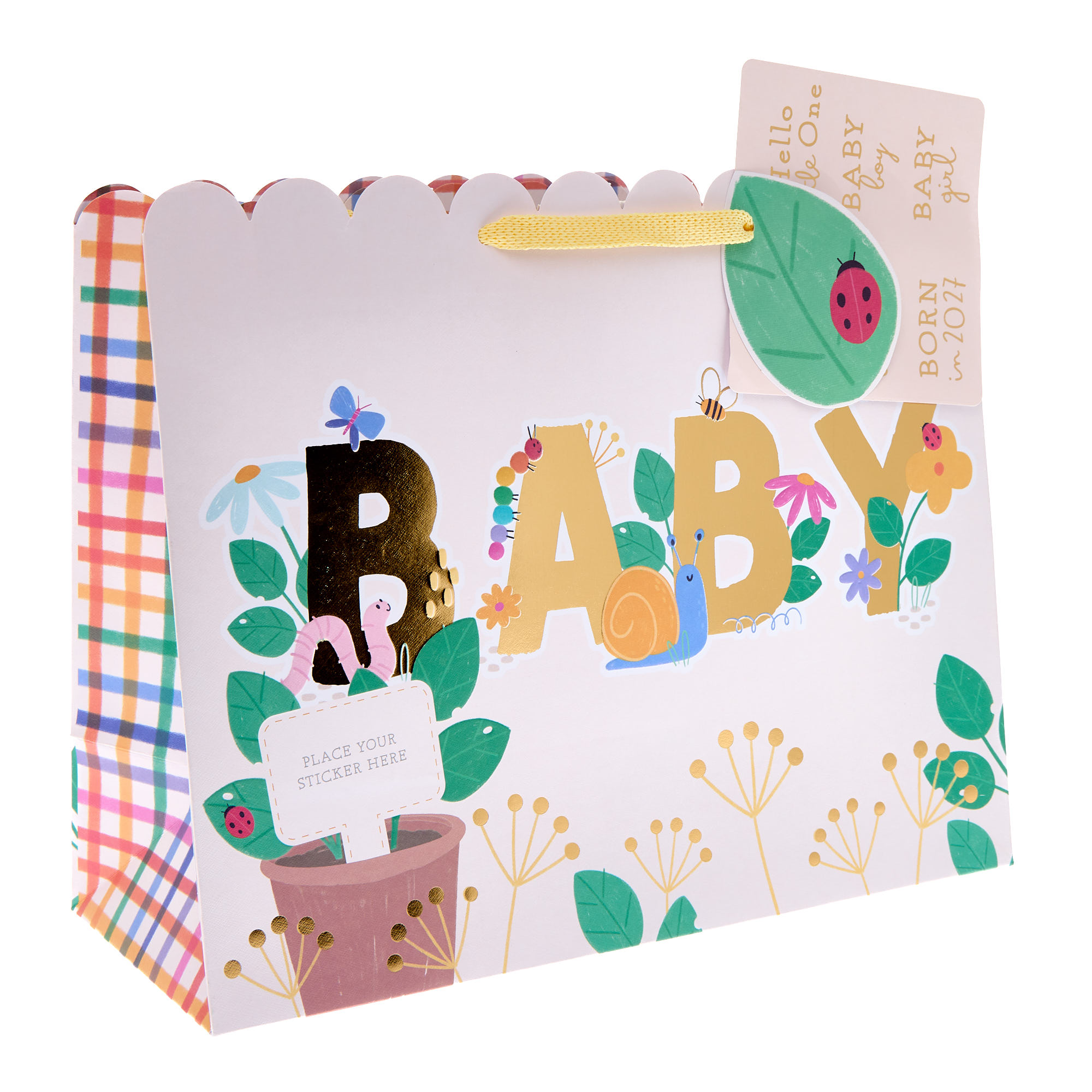 Baby Large Landscape Gift Bag With Stickers